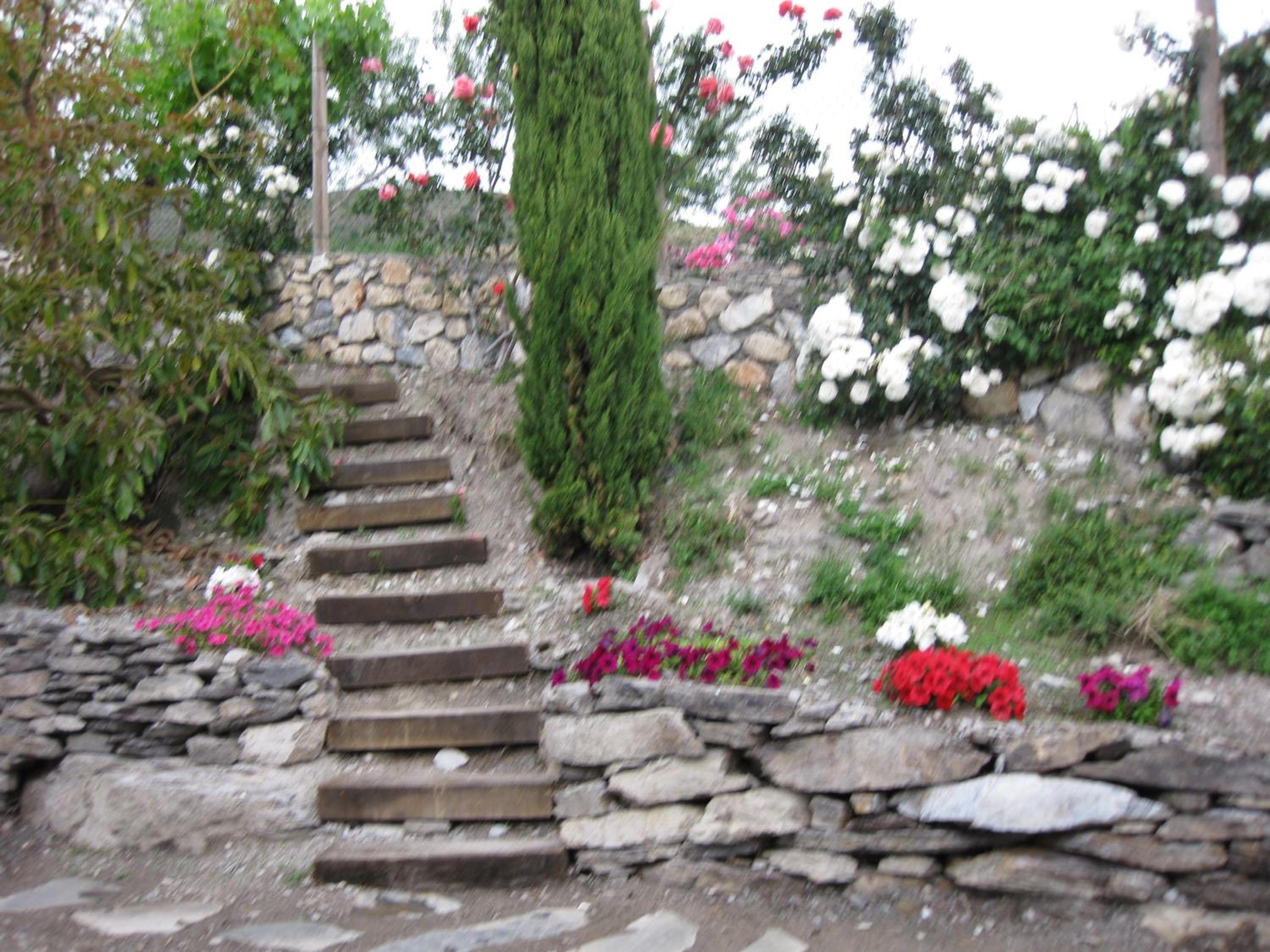 Photo 51