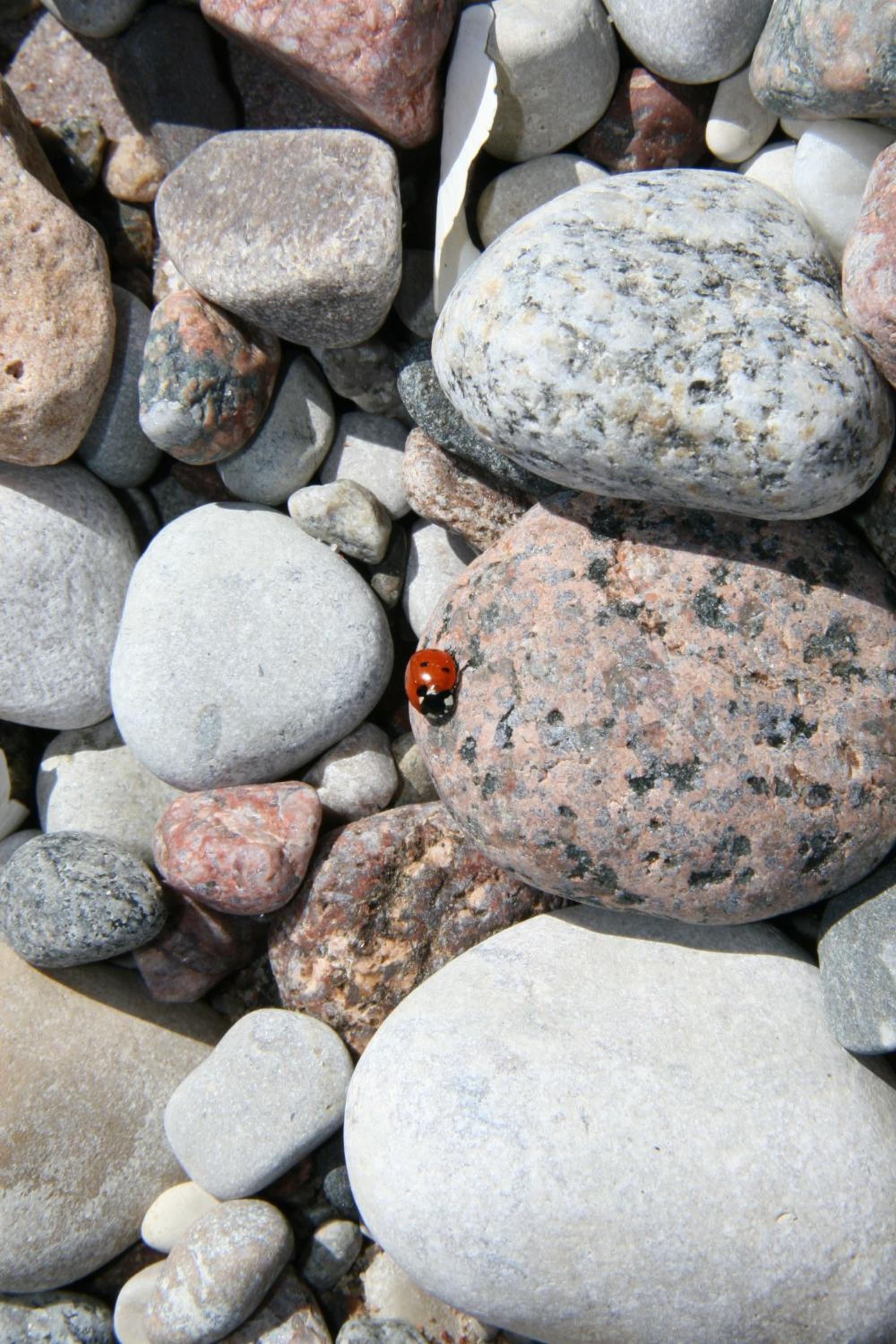Photo 24