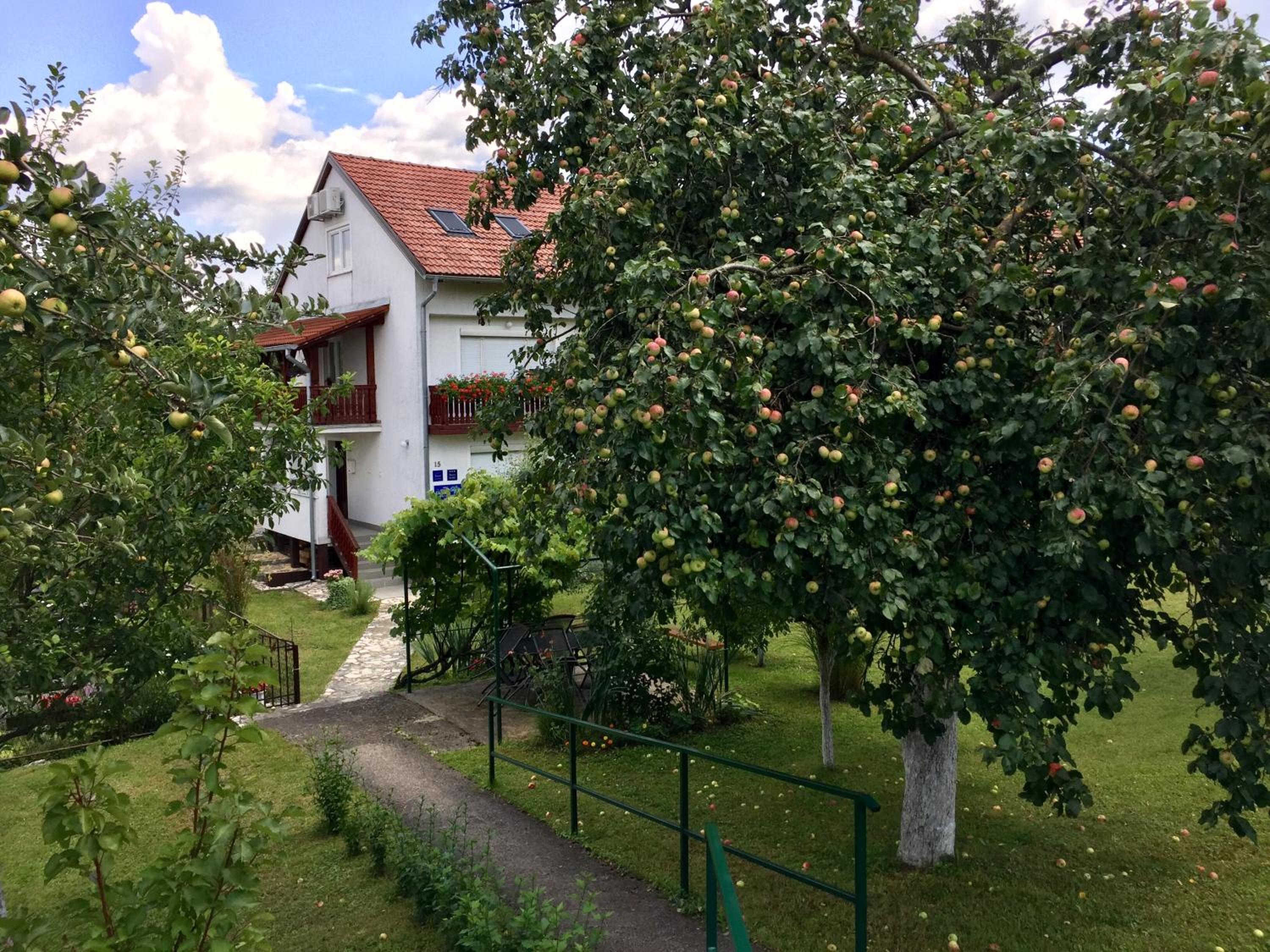 Photo 33