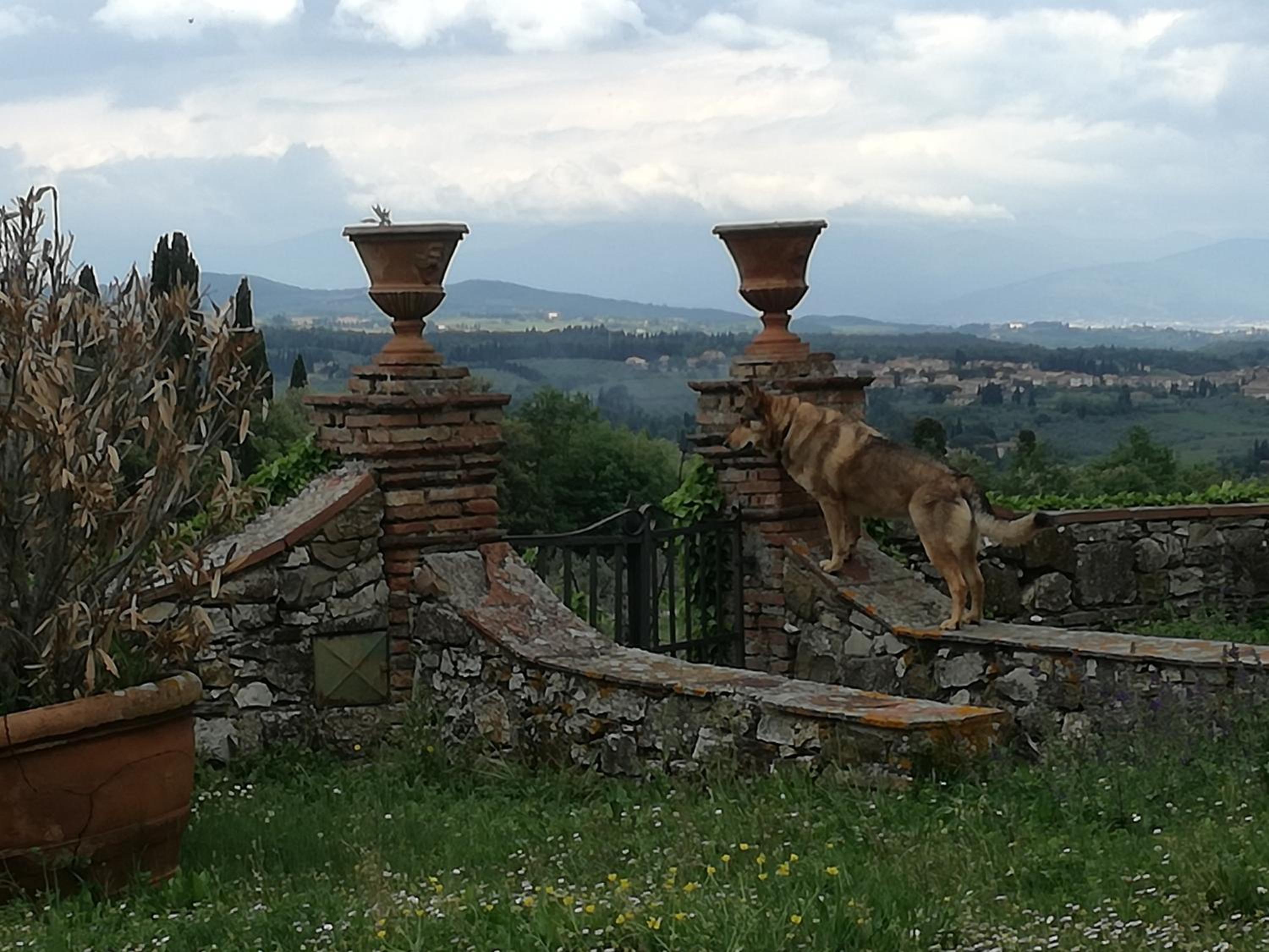 Agriturismo Podere la Cava
