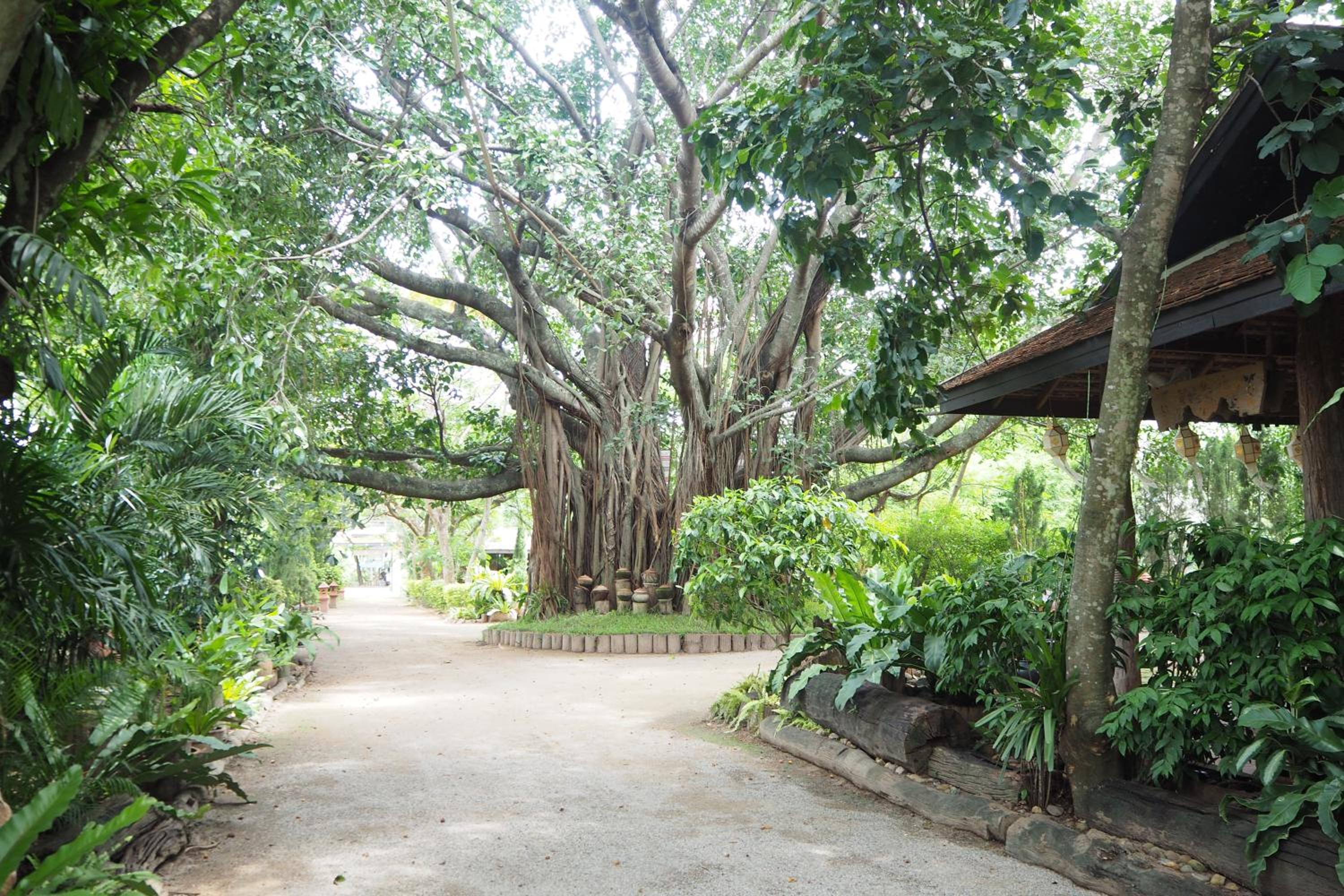 Khum Khun Wang Resort