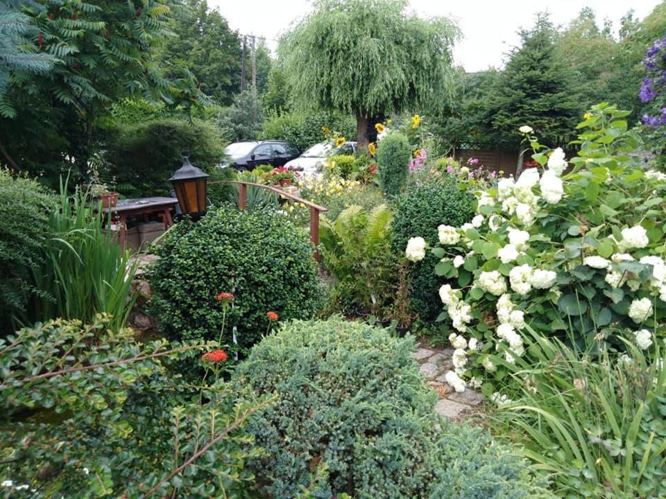 Photo 26
