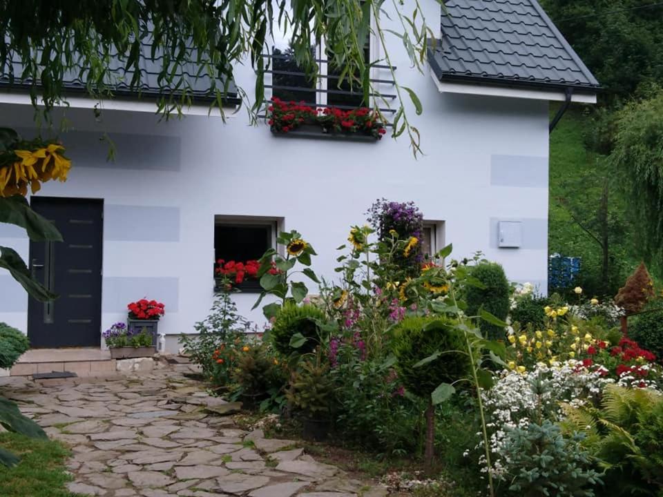 Photo 29