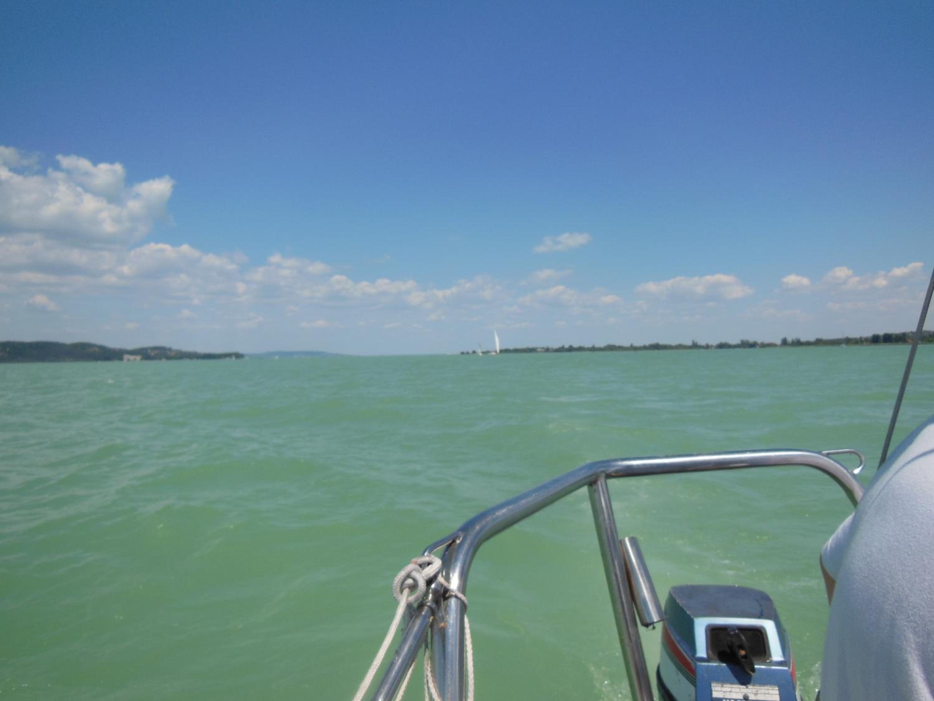 Photo 42
