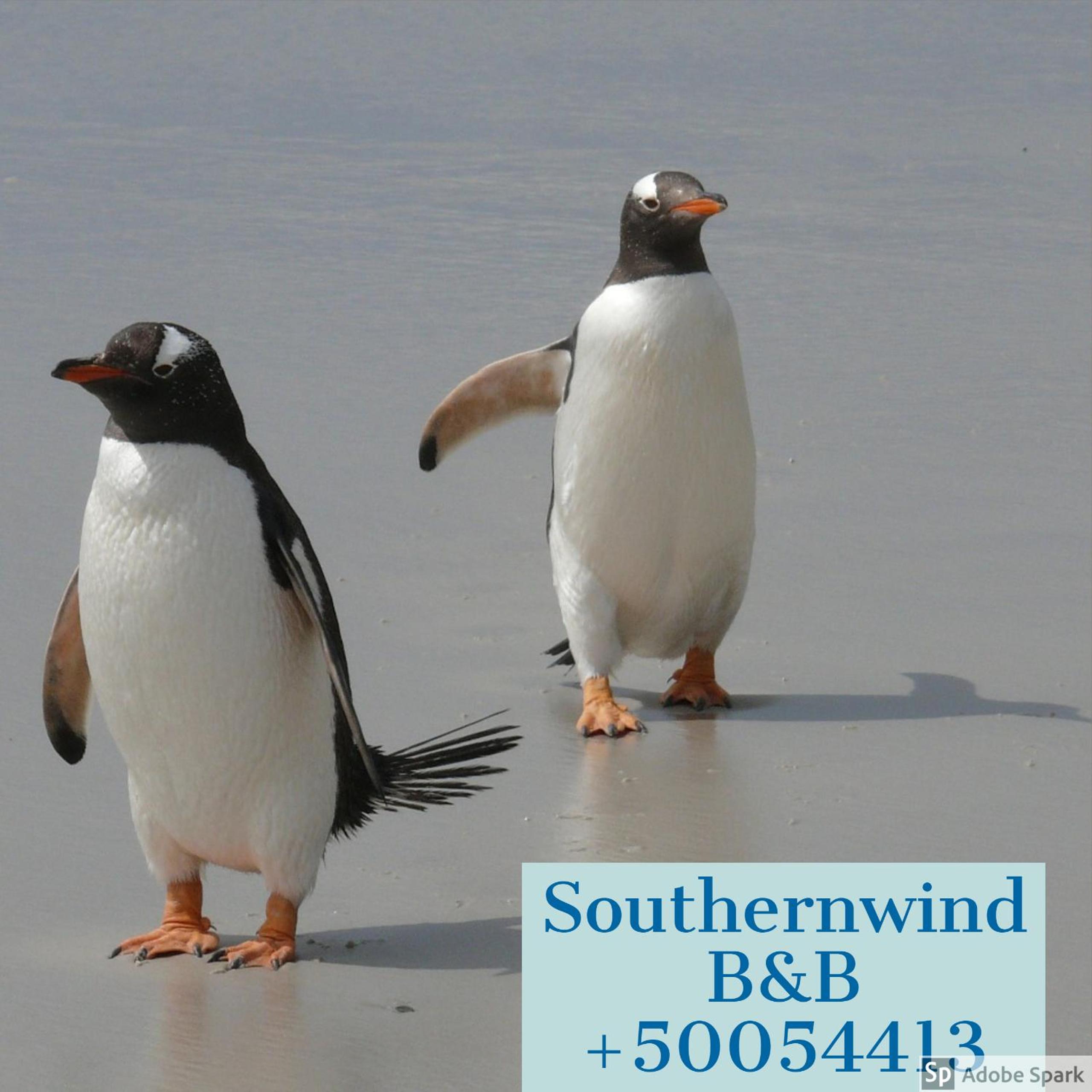 Southernwind - Spareroom