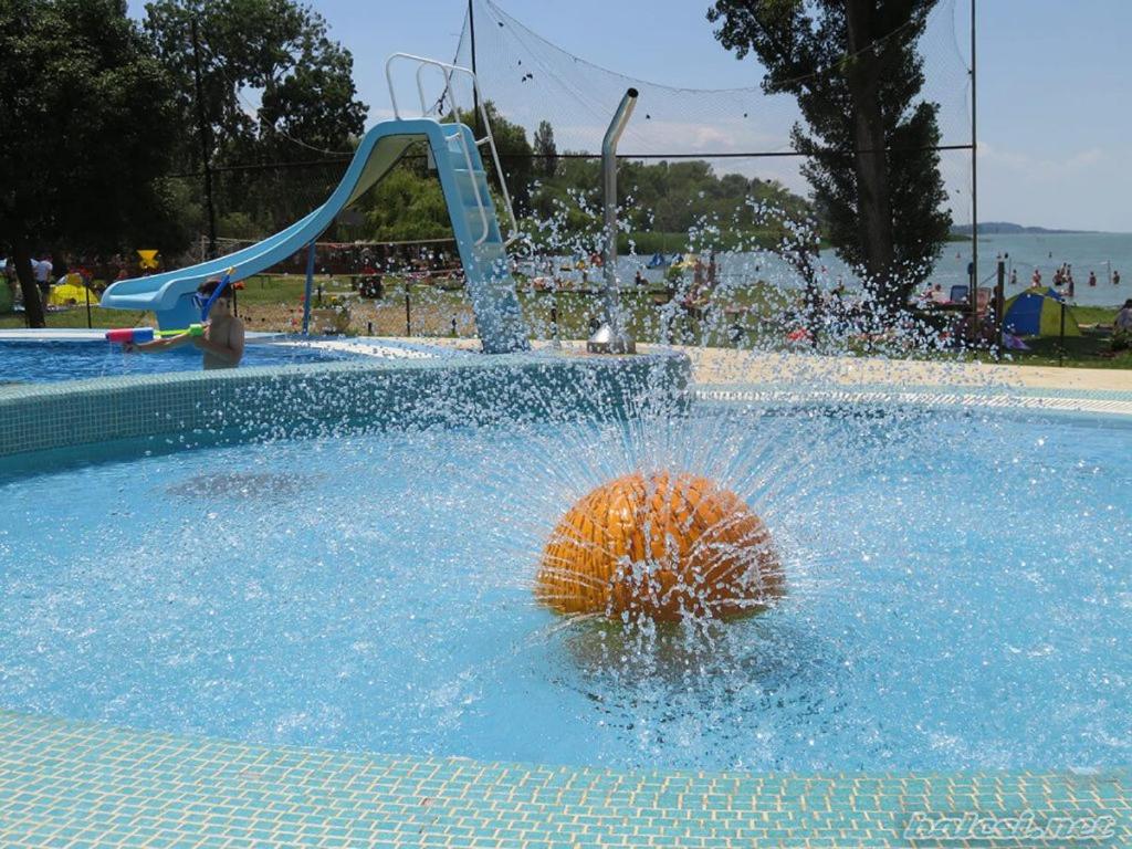 Photo 45