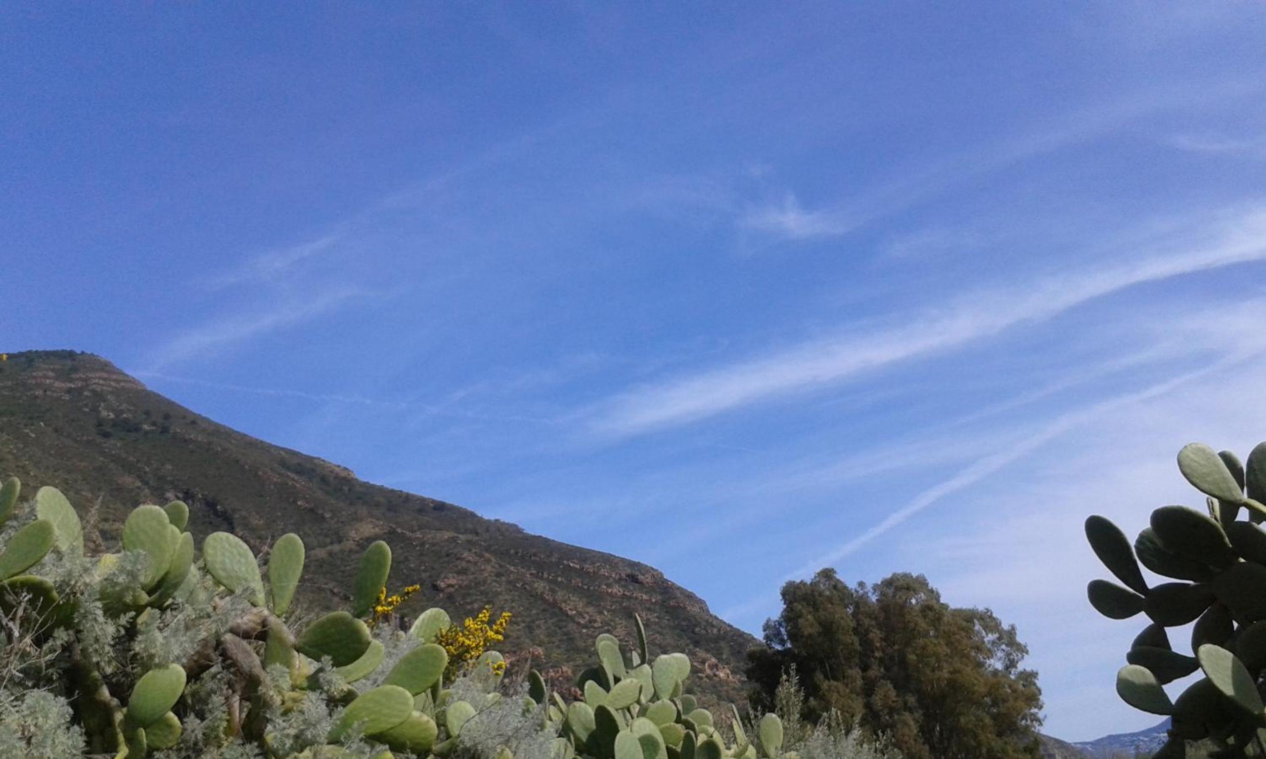 Photo 44