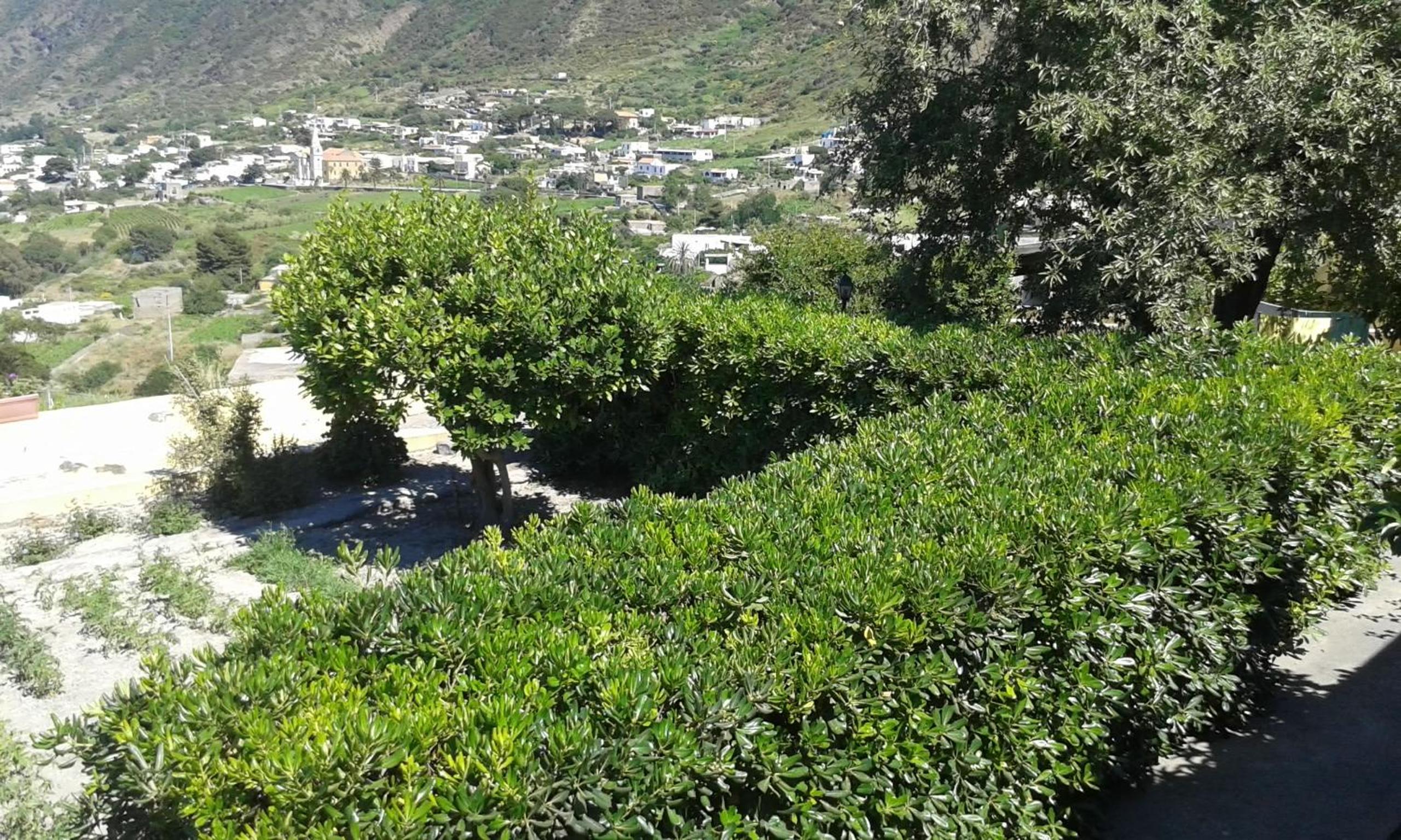 Photo 39