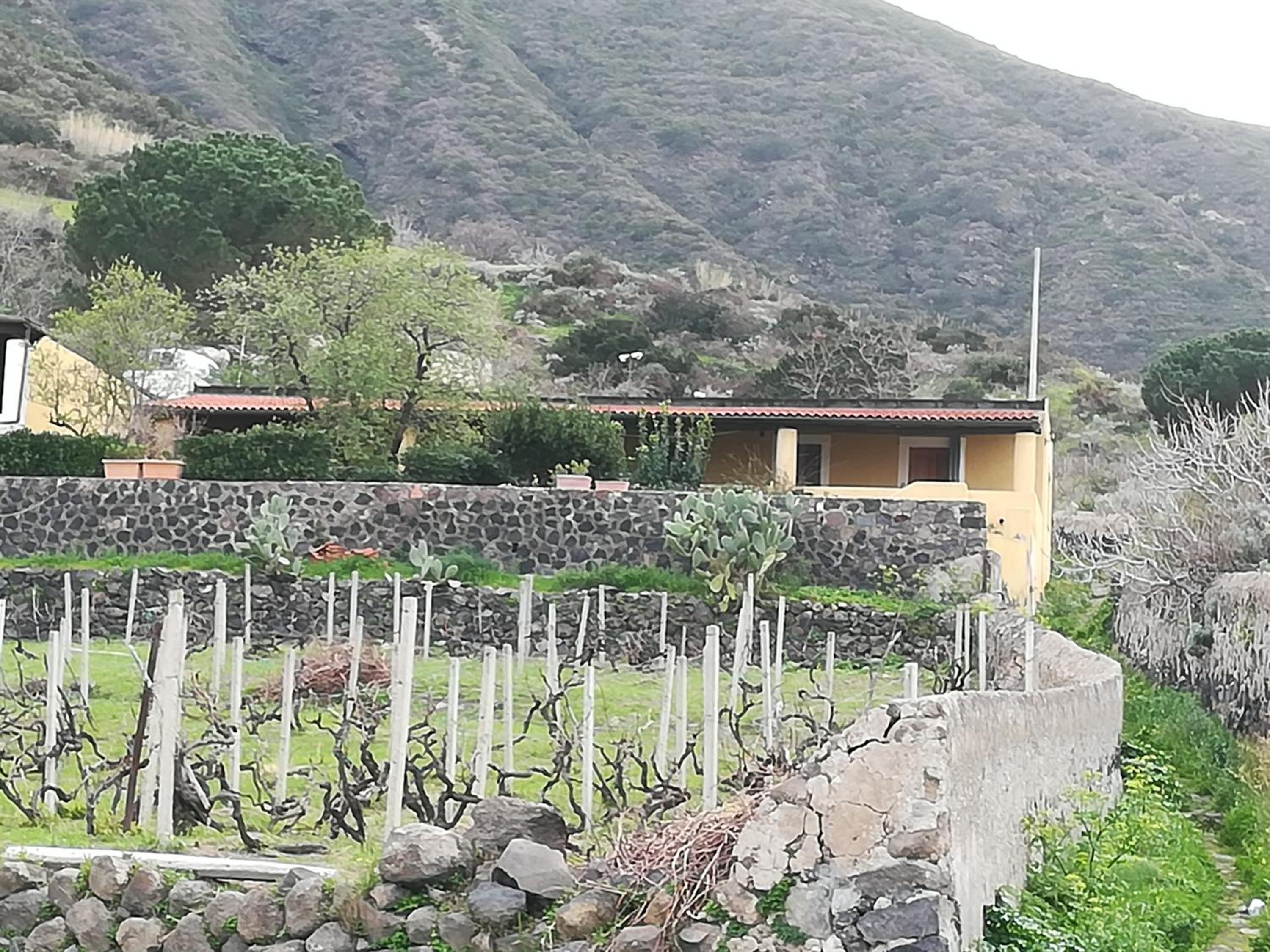 la casa di titti e jack photo 5