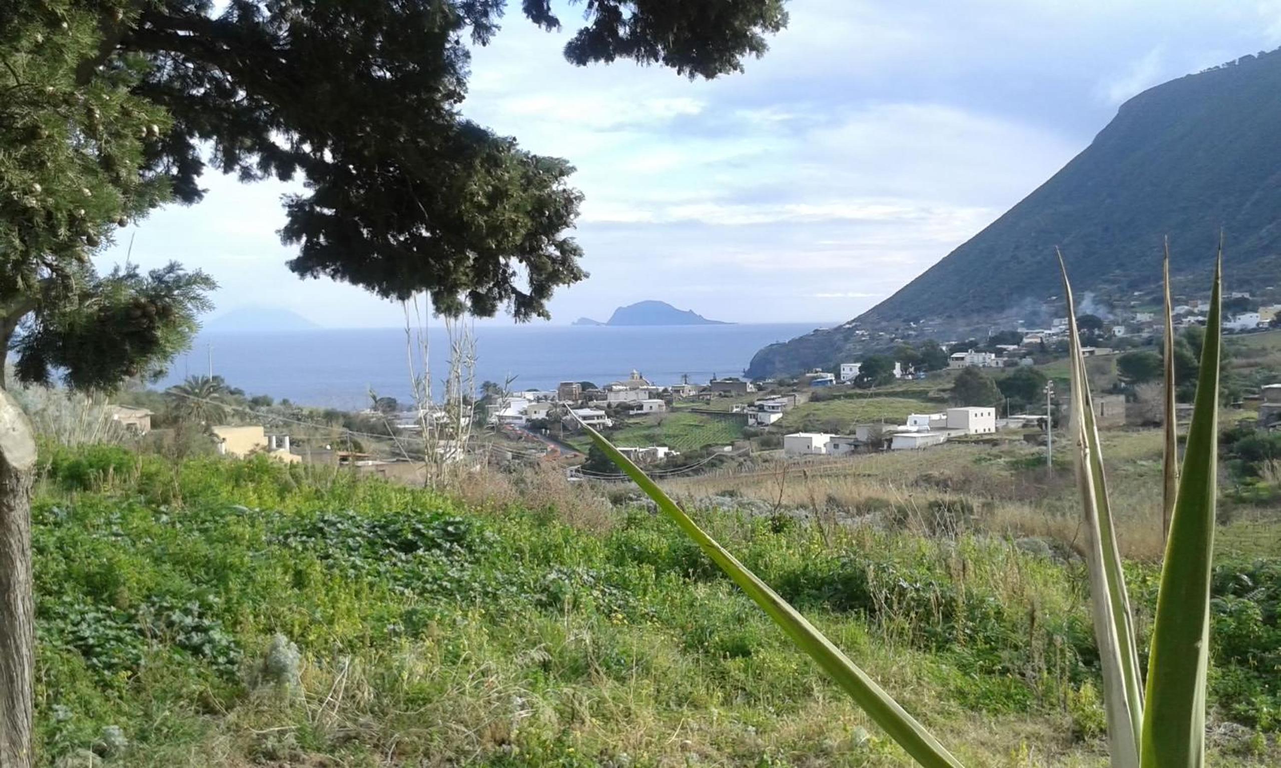 la casa di titti e jack photo 2