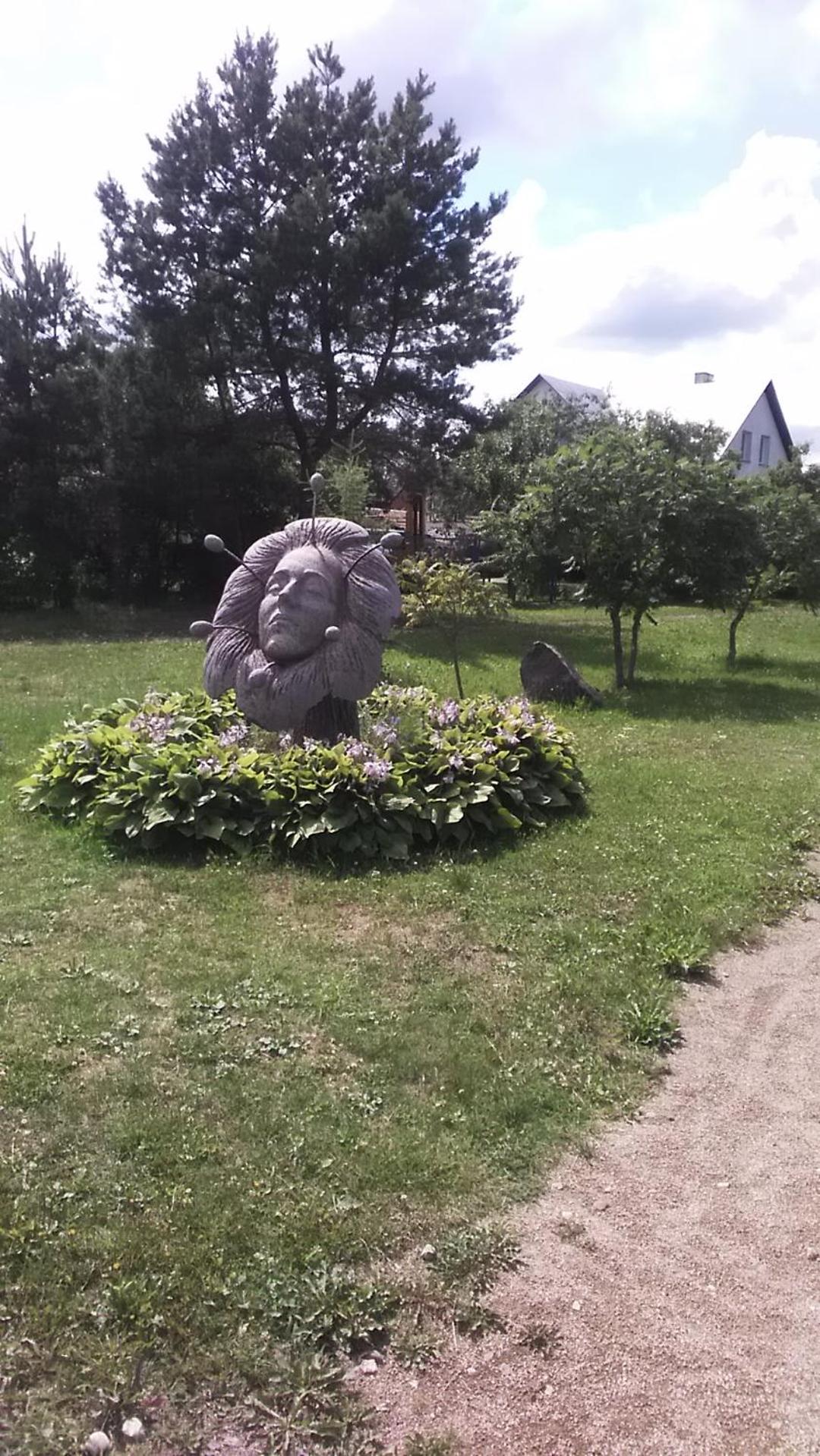 Photo 29