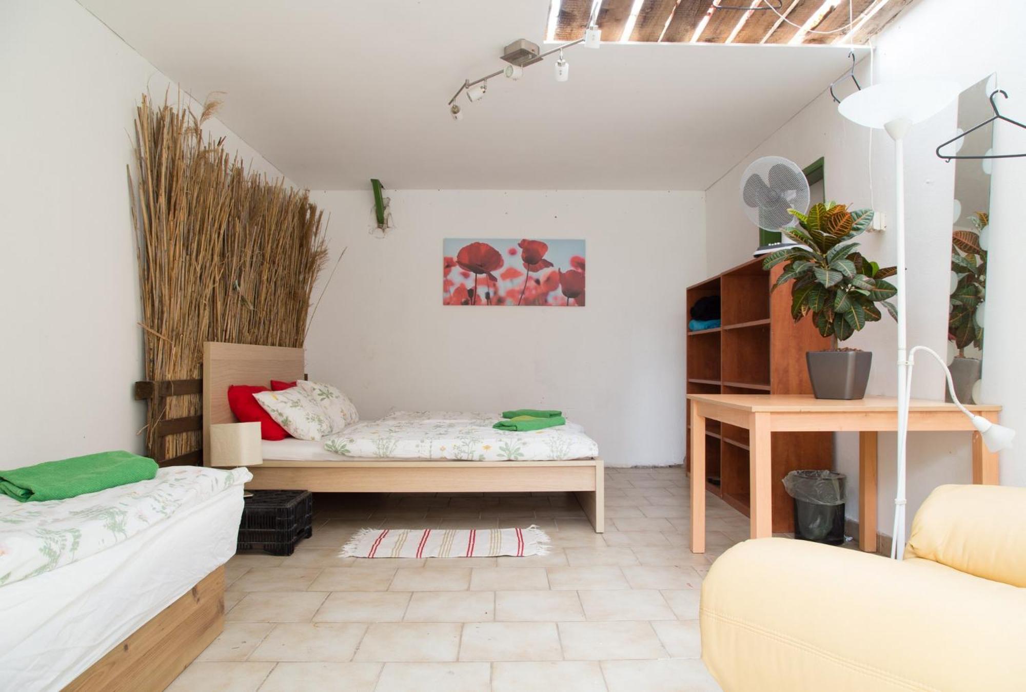 Rastlinky.sk Greenhouse Guestrooms, photo 38