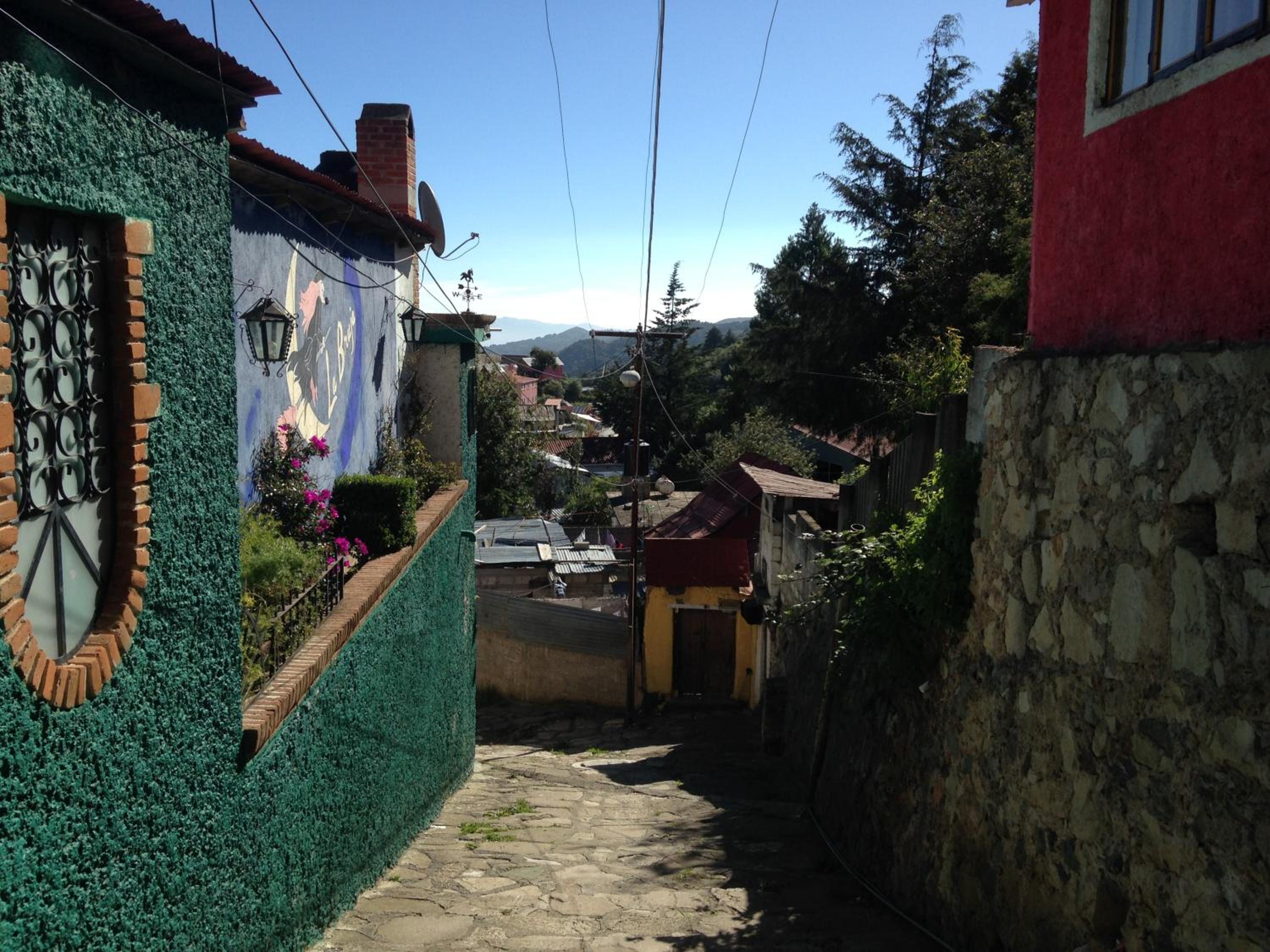 Photo 8