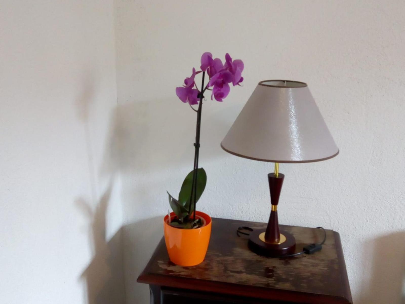 Apartman Teuta Zagreb