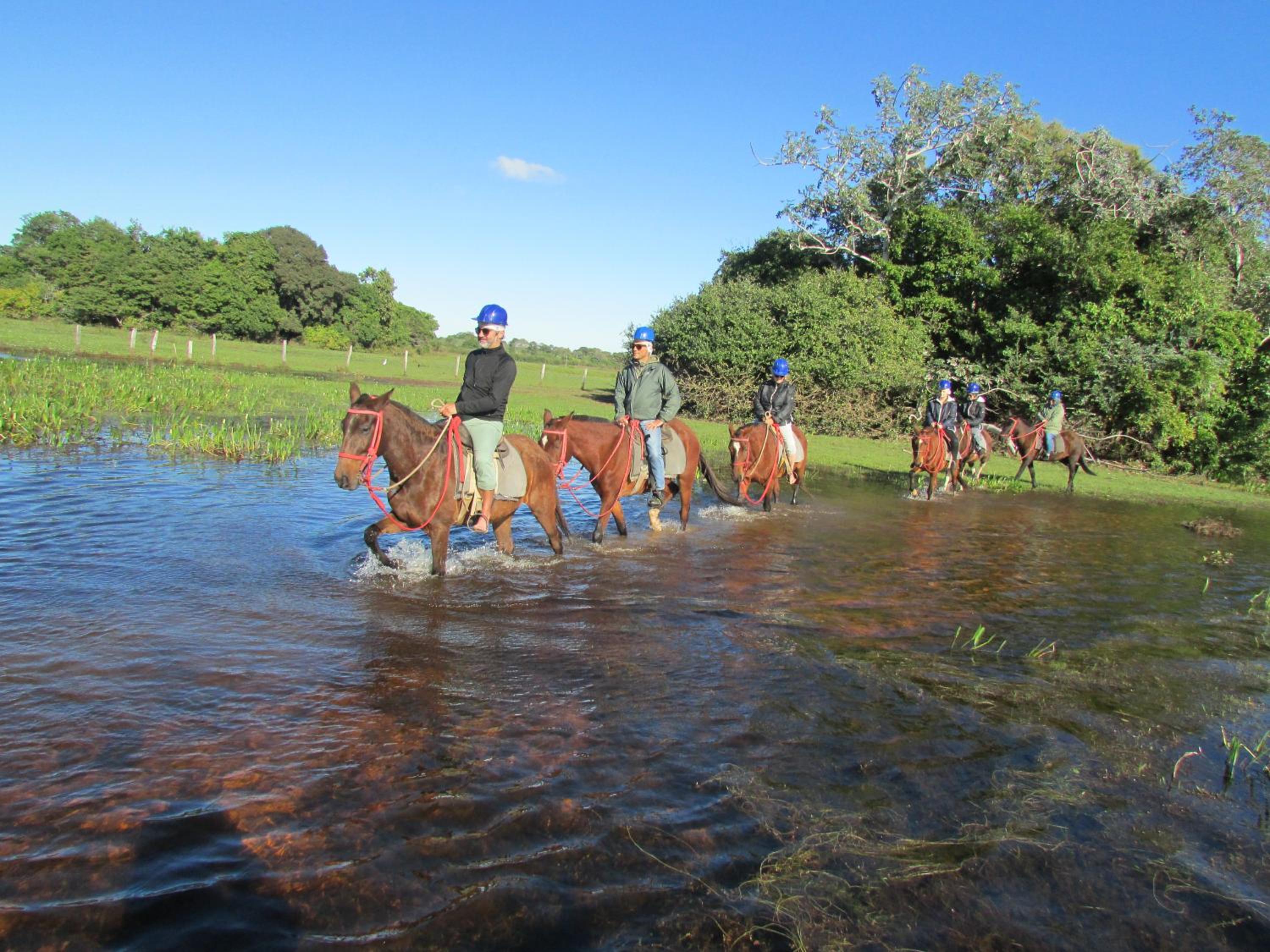 Pousada São João - Estrada Parque Pantanal