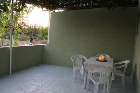 Mulberry Home photo 3