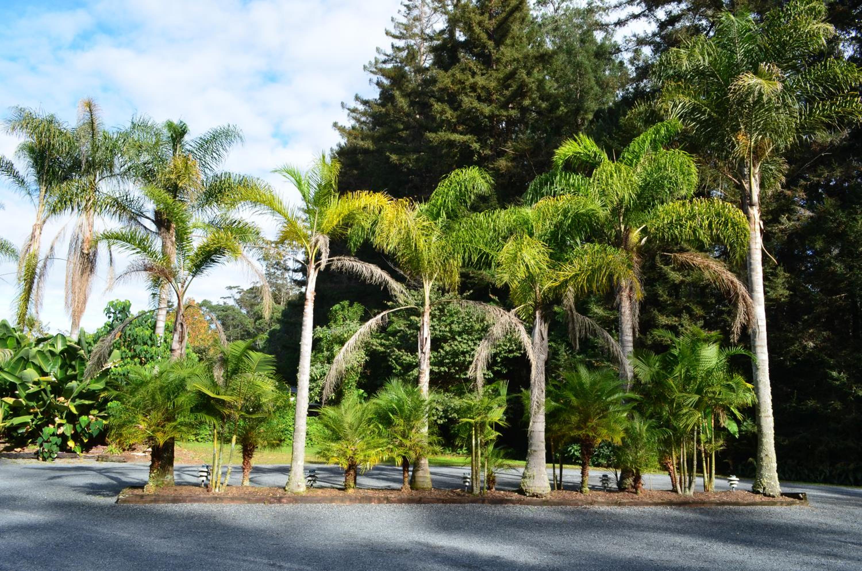 Woodlands Motel