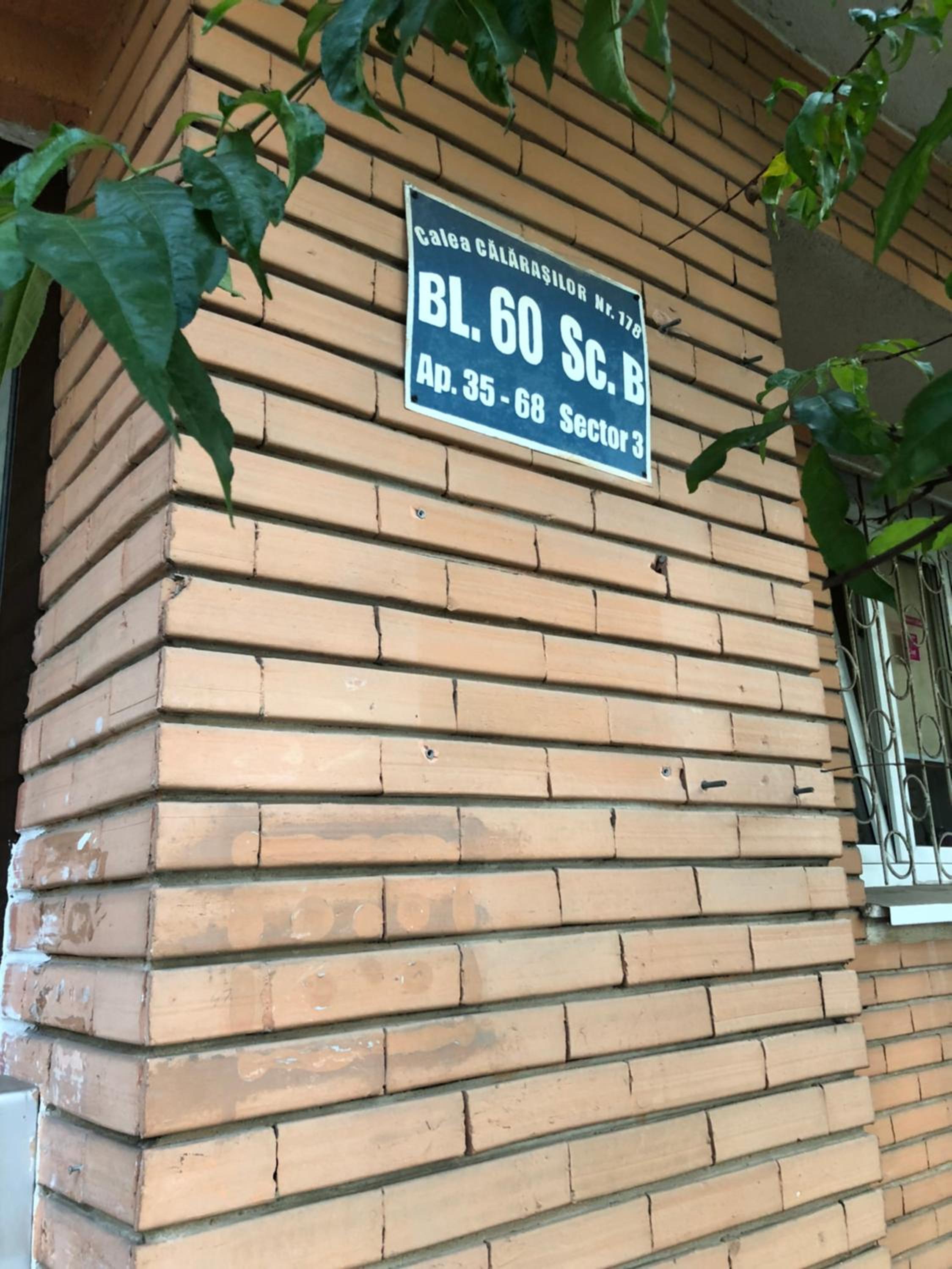Green Apartment 59