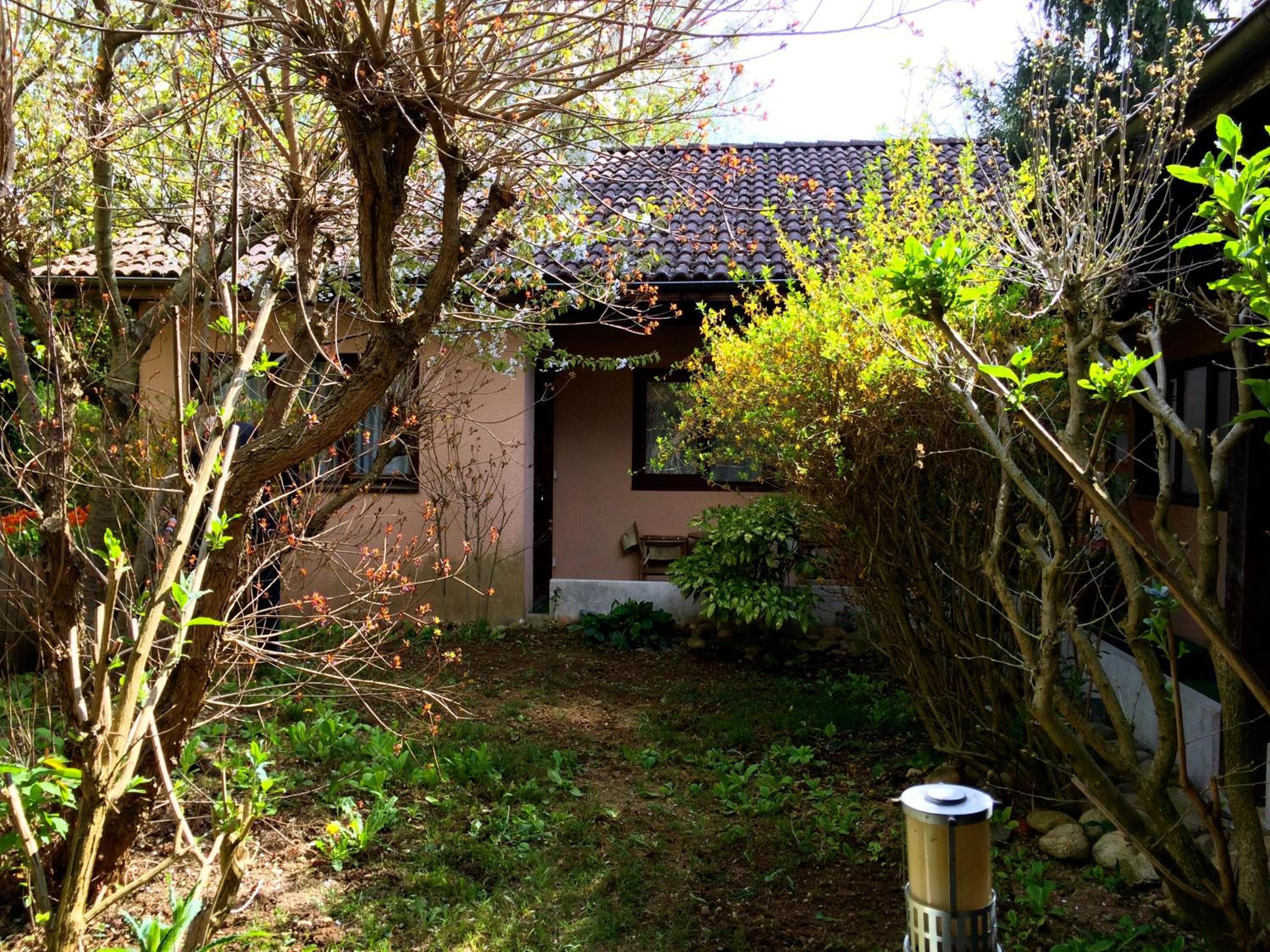 garden