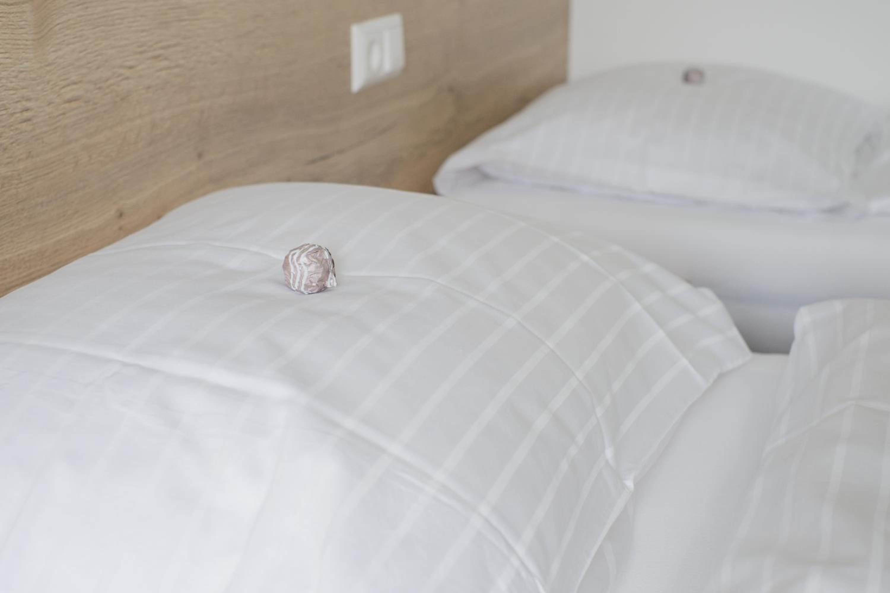 Hotel Rimo