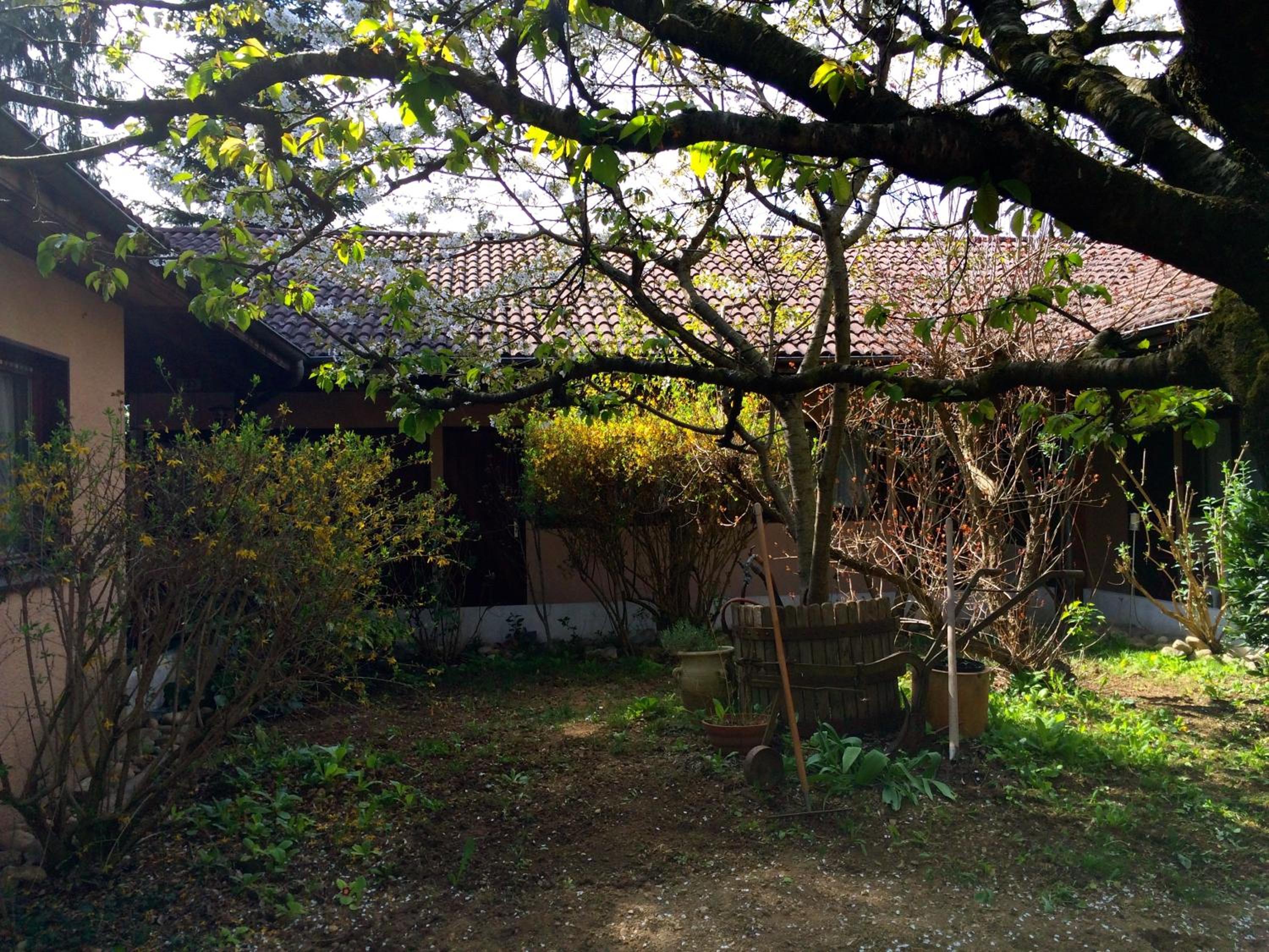 garden