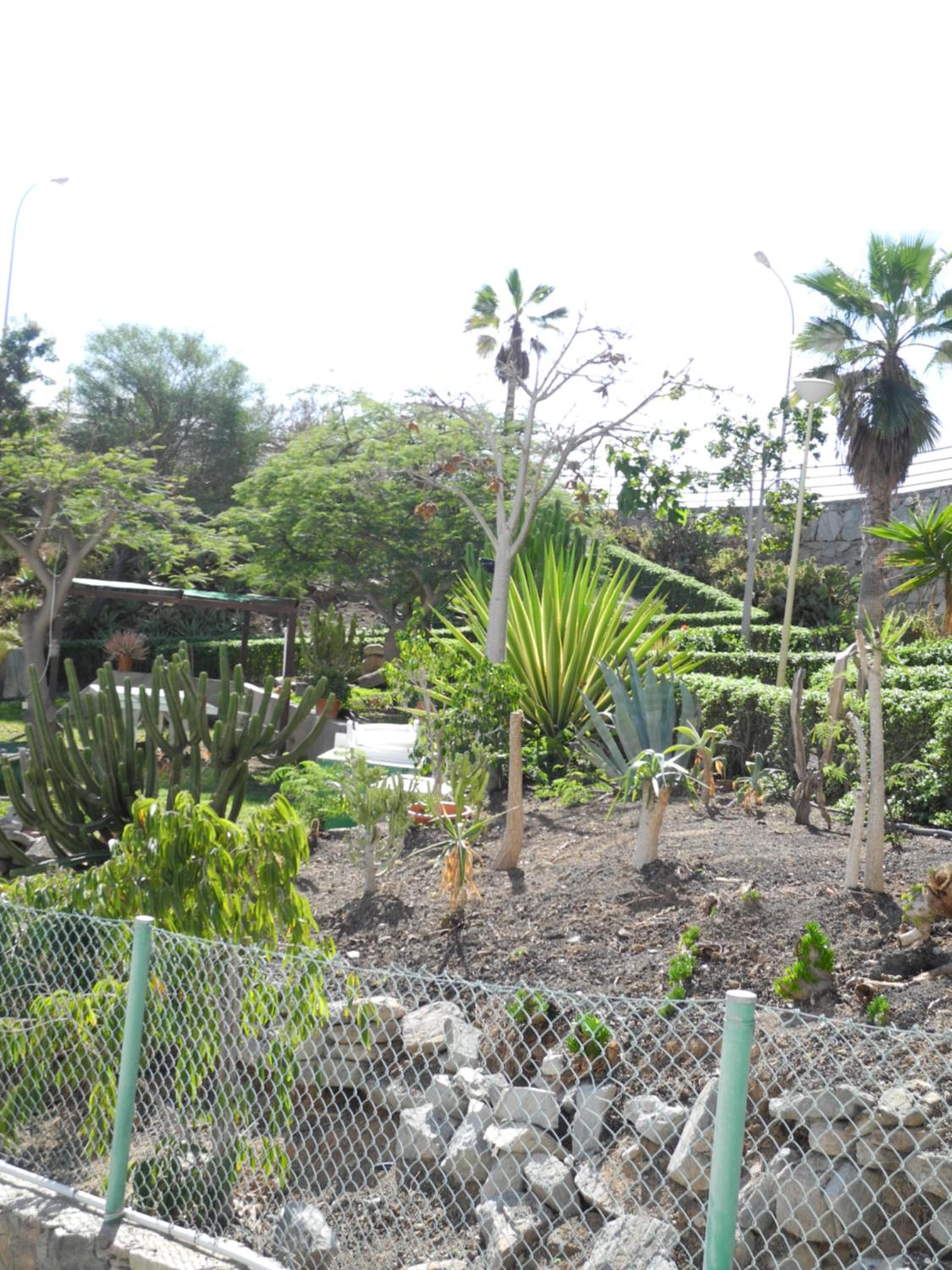 Apartamentos Los Mocanes view 3