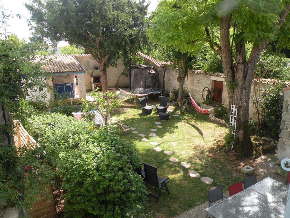 Photo 7