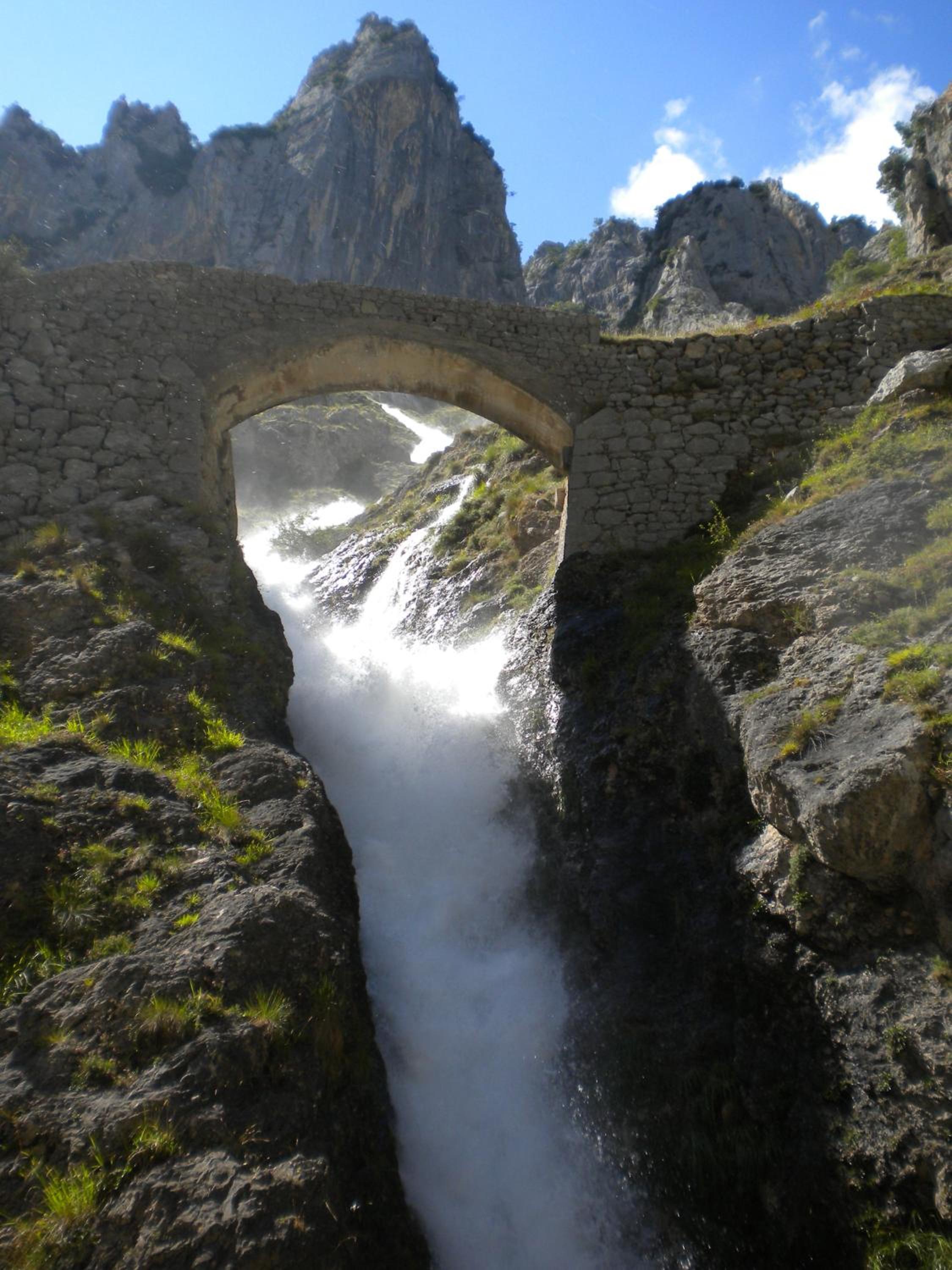 Photo 35