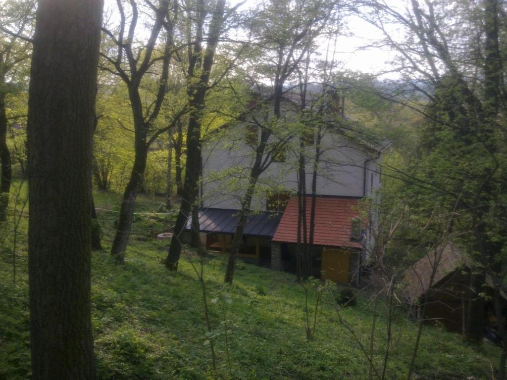 Photo 31