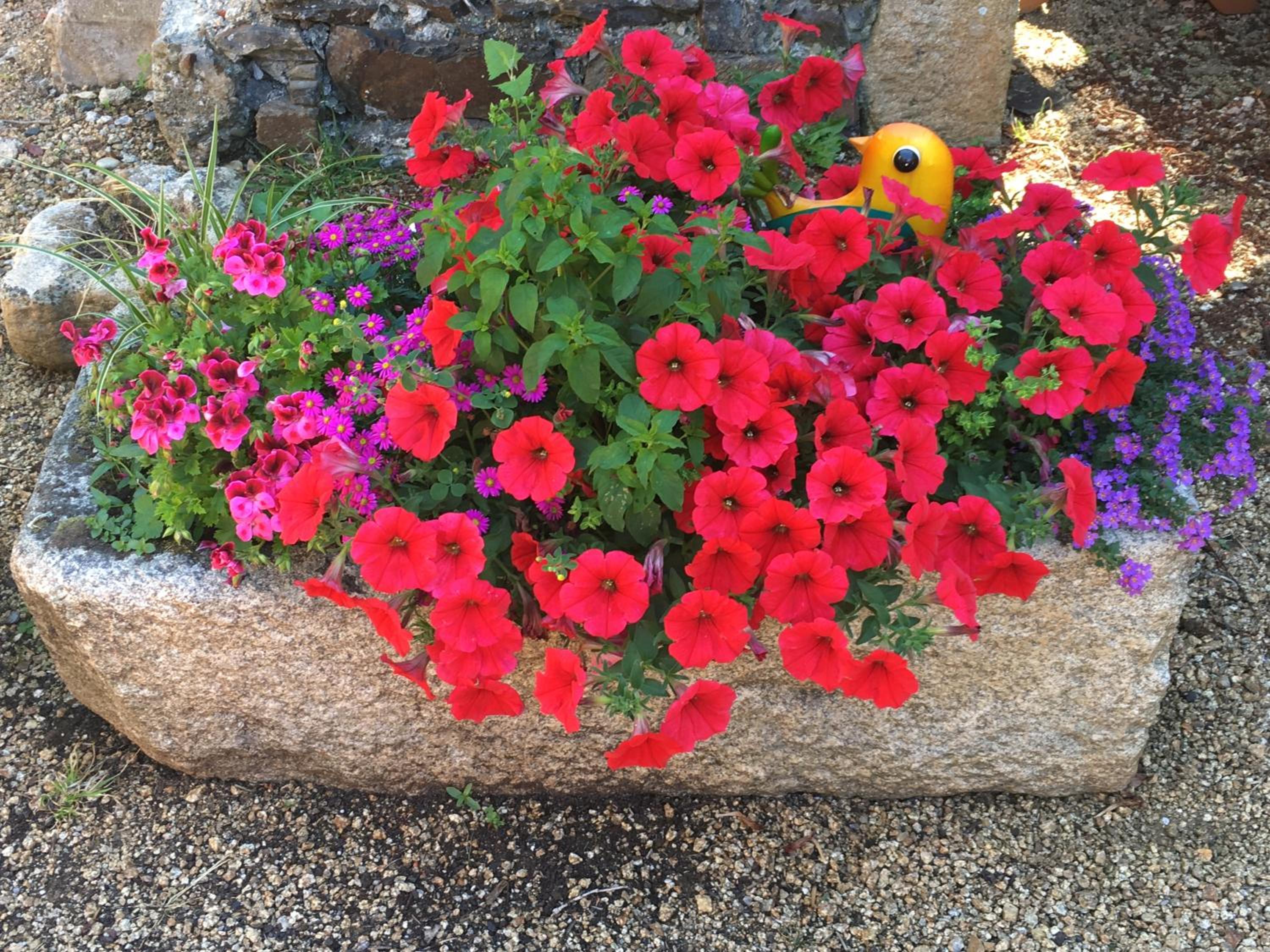 Photo 20