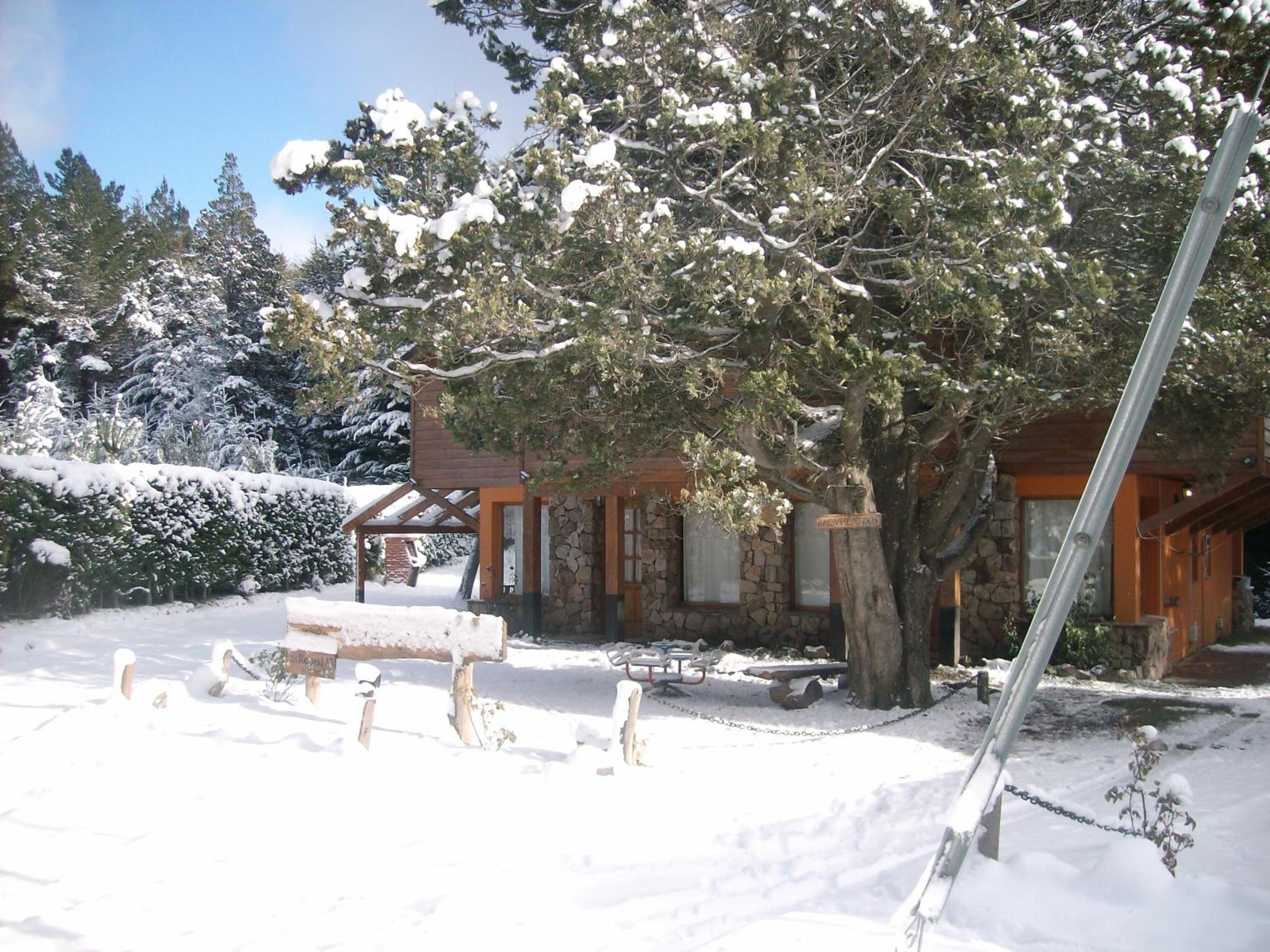 Tinsel's House