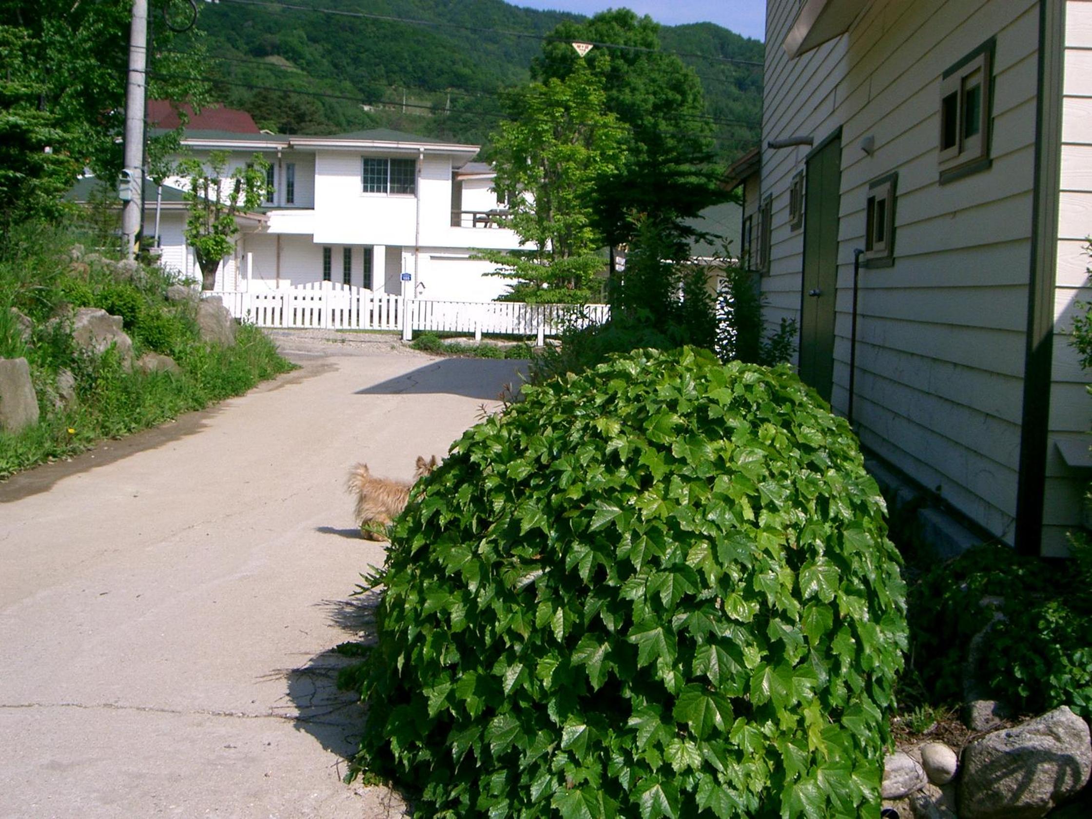 Nadeuri Pension, Pyeongchang  - 18
