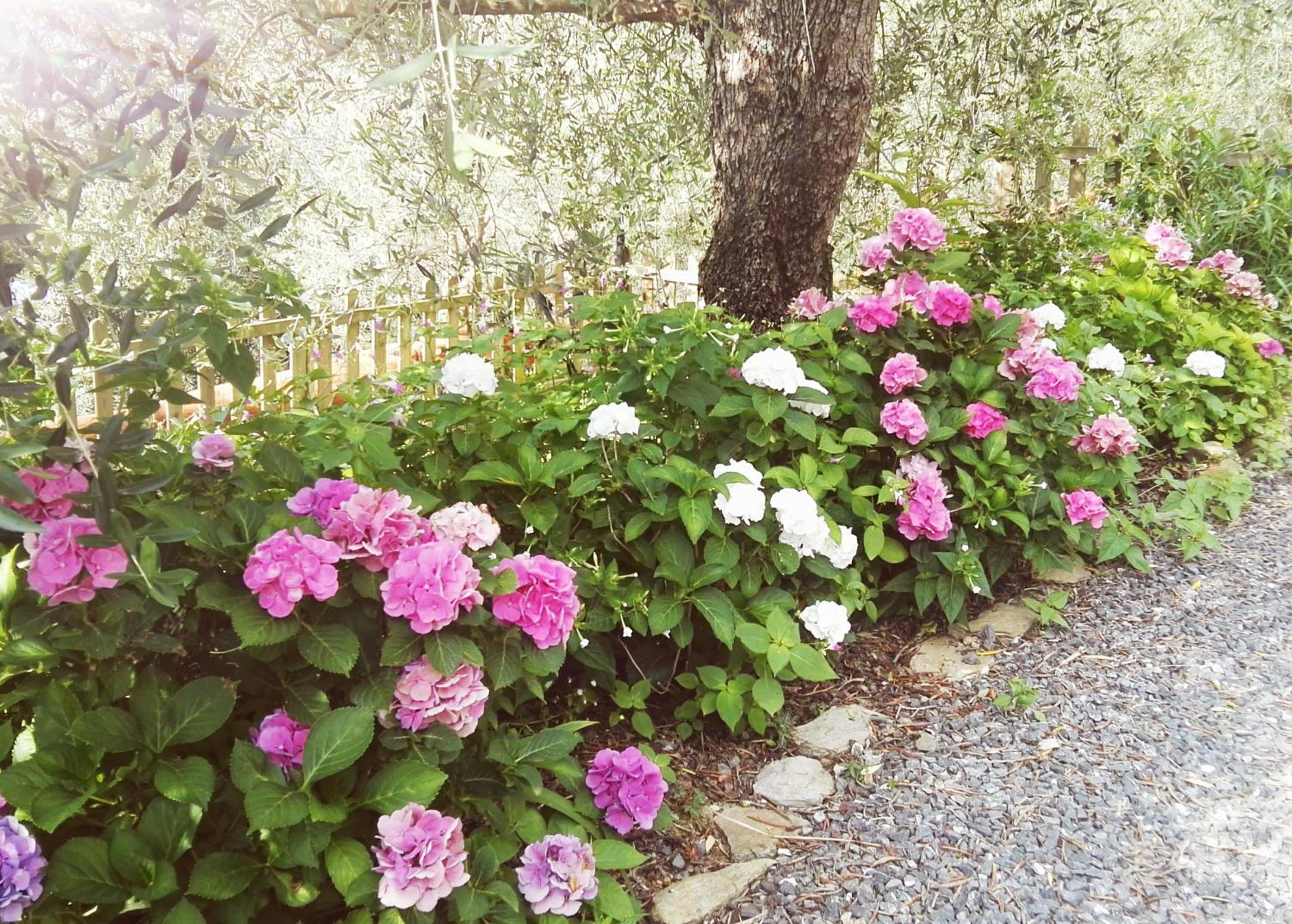 Photo 44