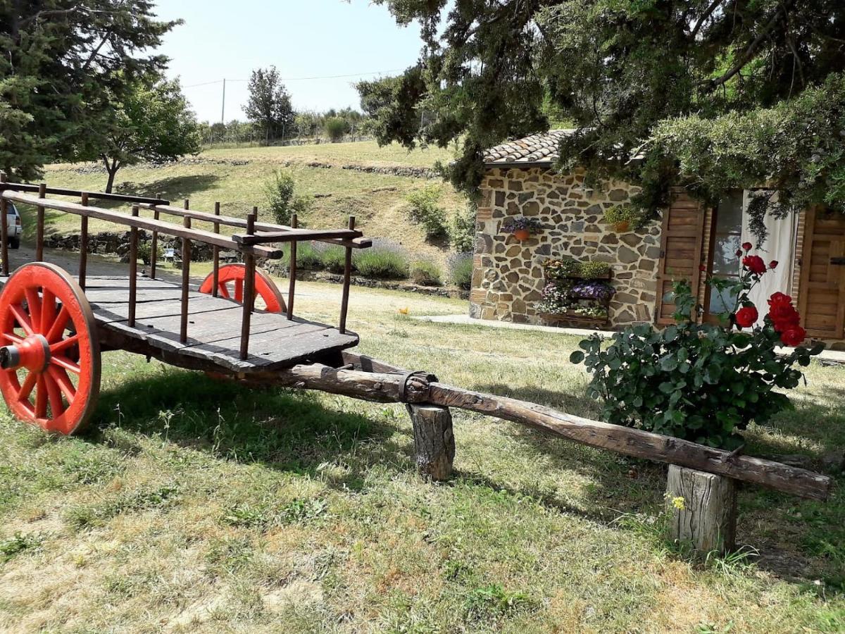 Agriturismo "Apparitoio" view 4