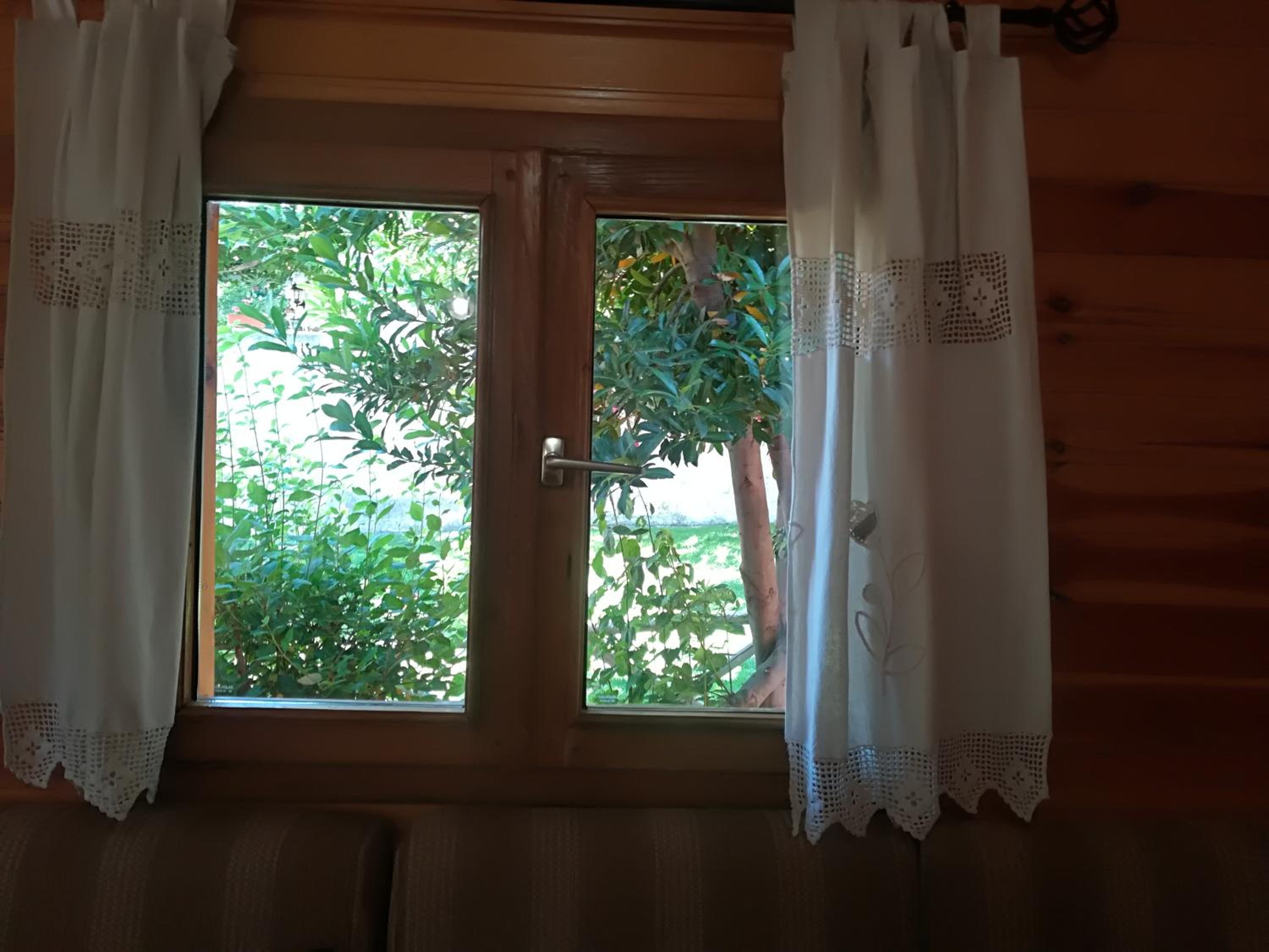 Photo 61