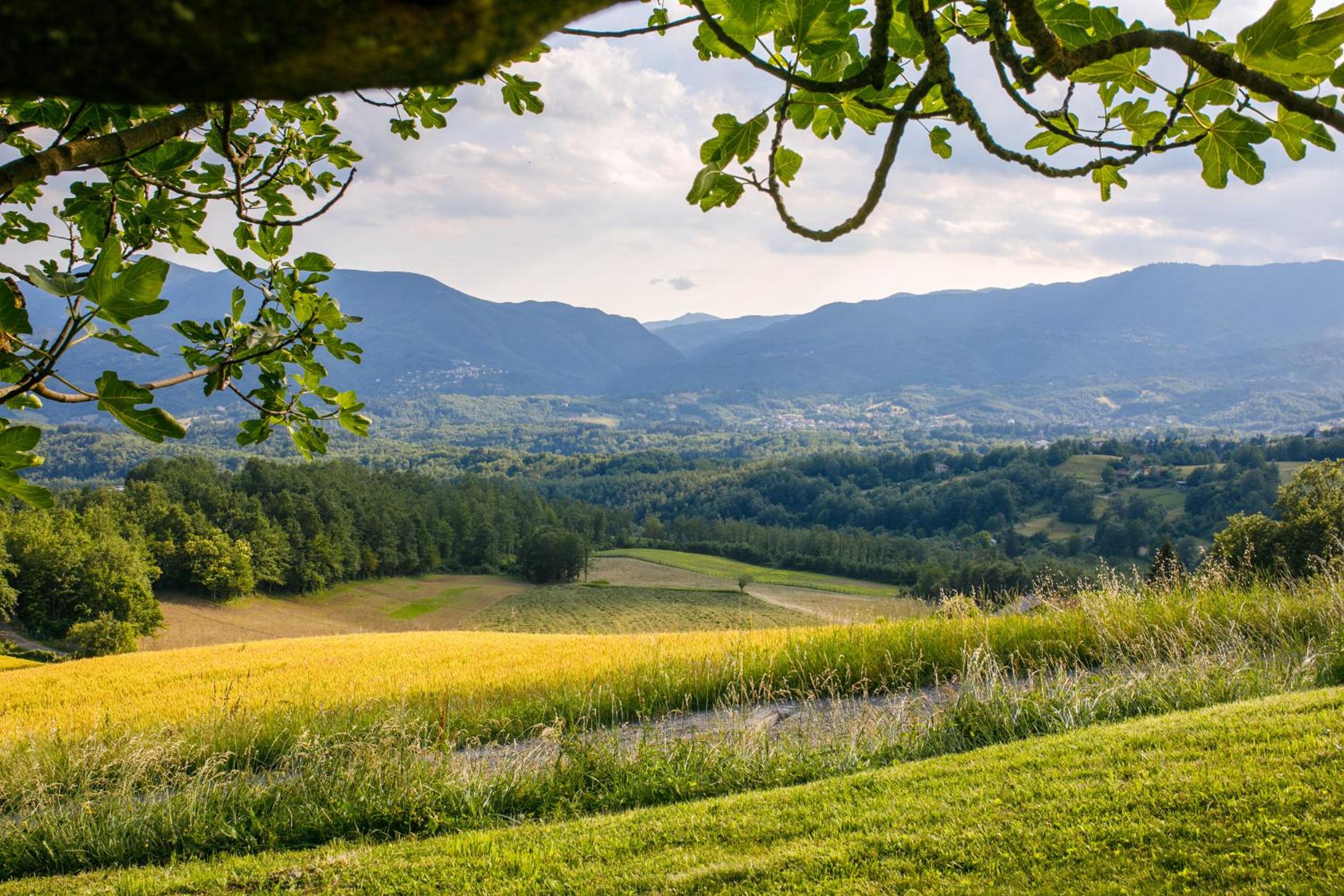 Agriturismo Carovane view 3