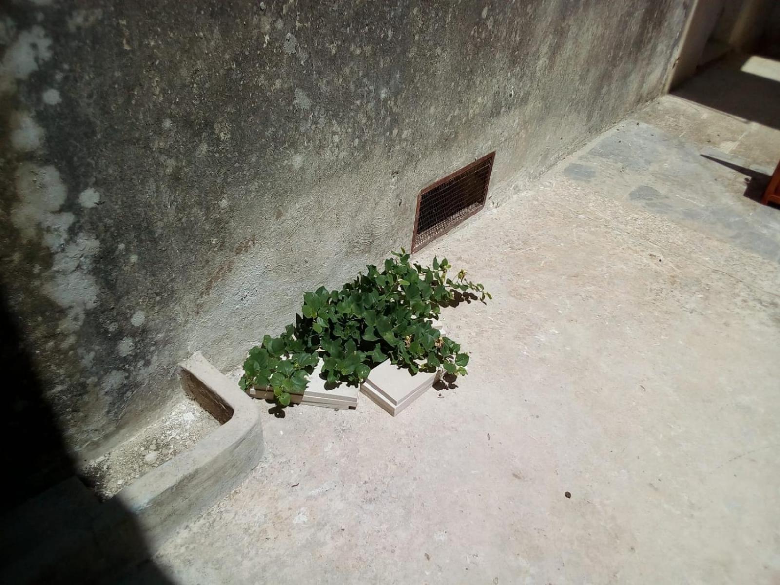 Cortile Calinea