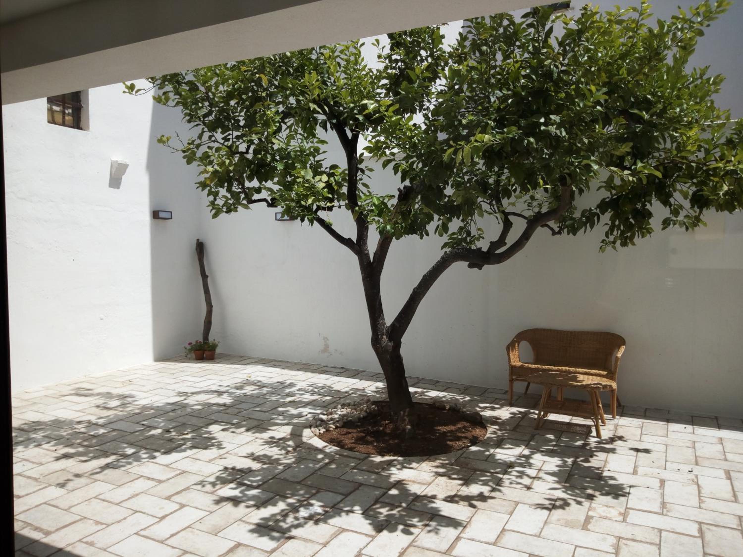 Cortile Calinea