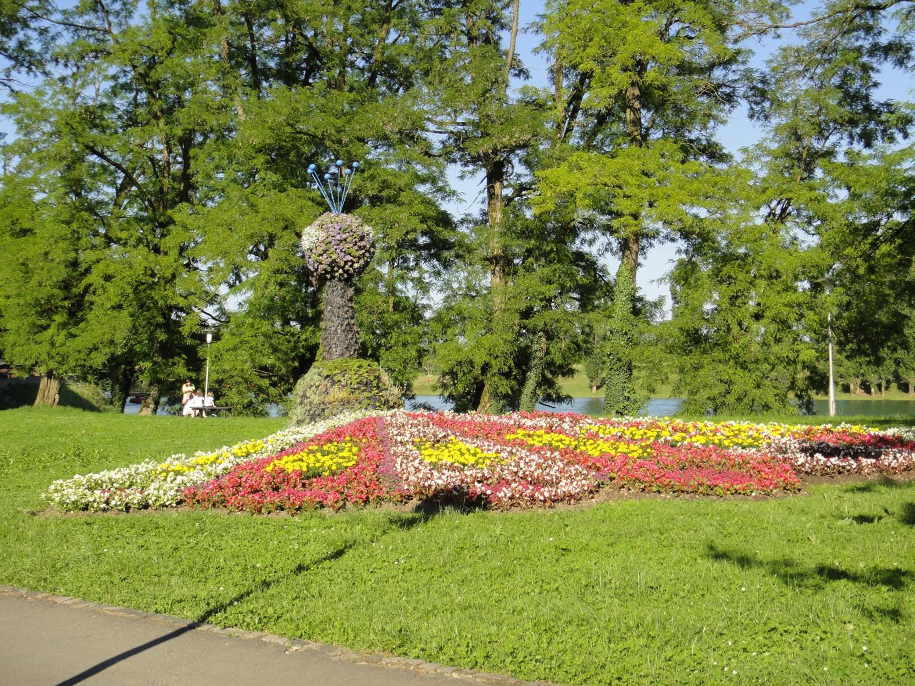 Photo 33