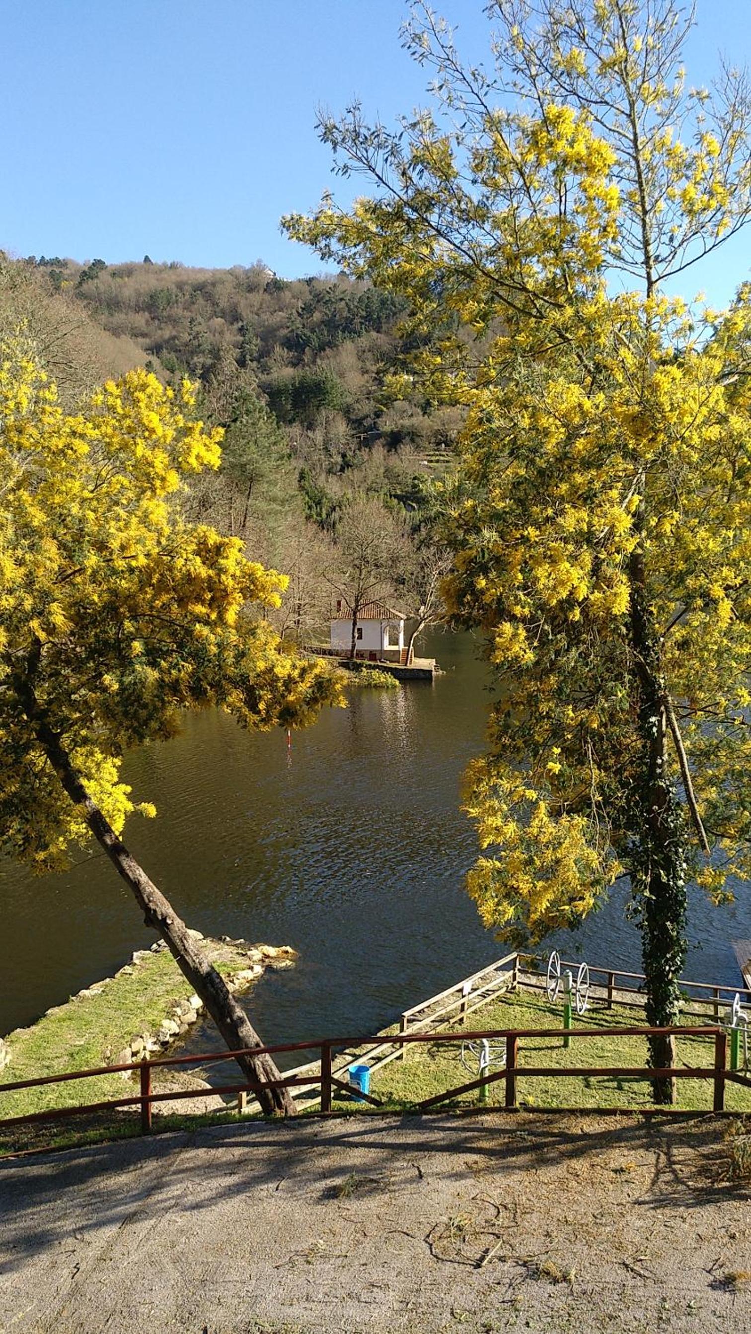 Casa Campacinas Casas Vacacional con vistas del rio