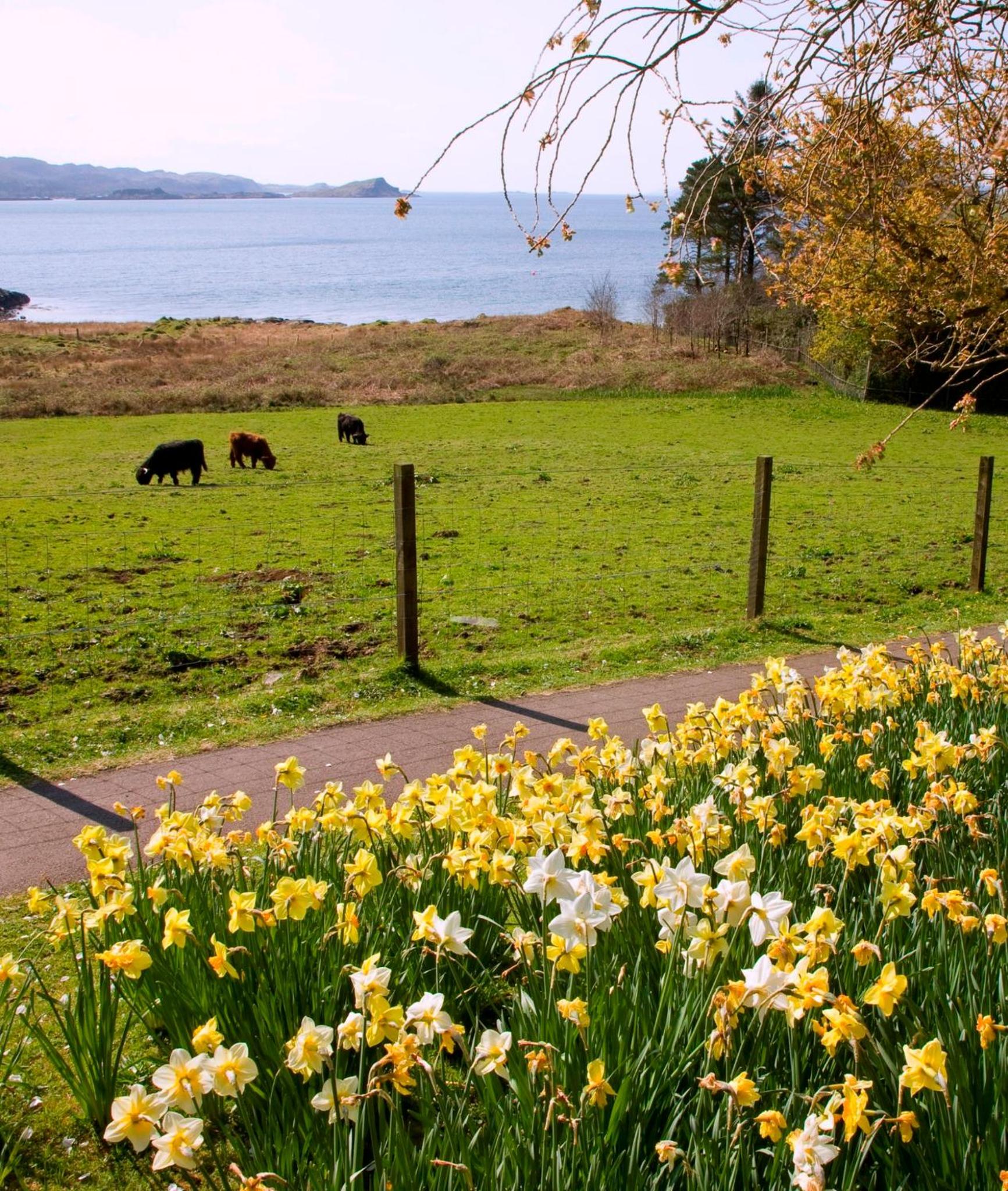 Loch Melfort Hotel 40