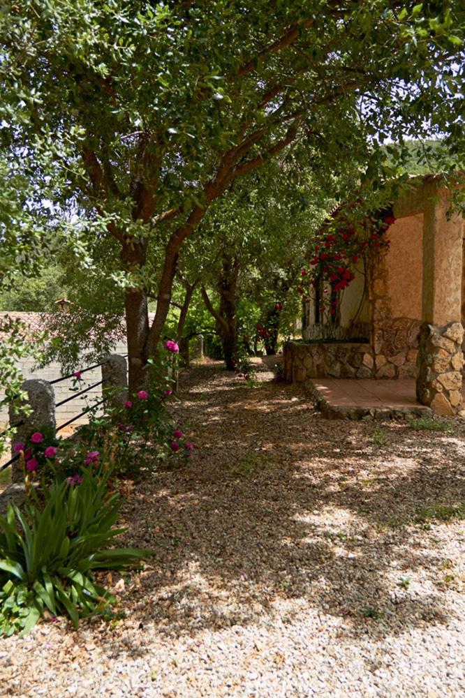 Casas rurales amable- yeste