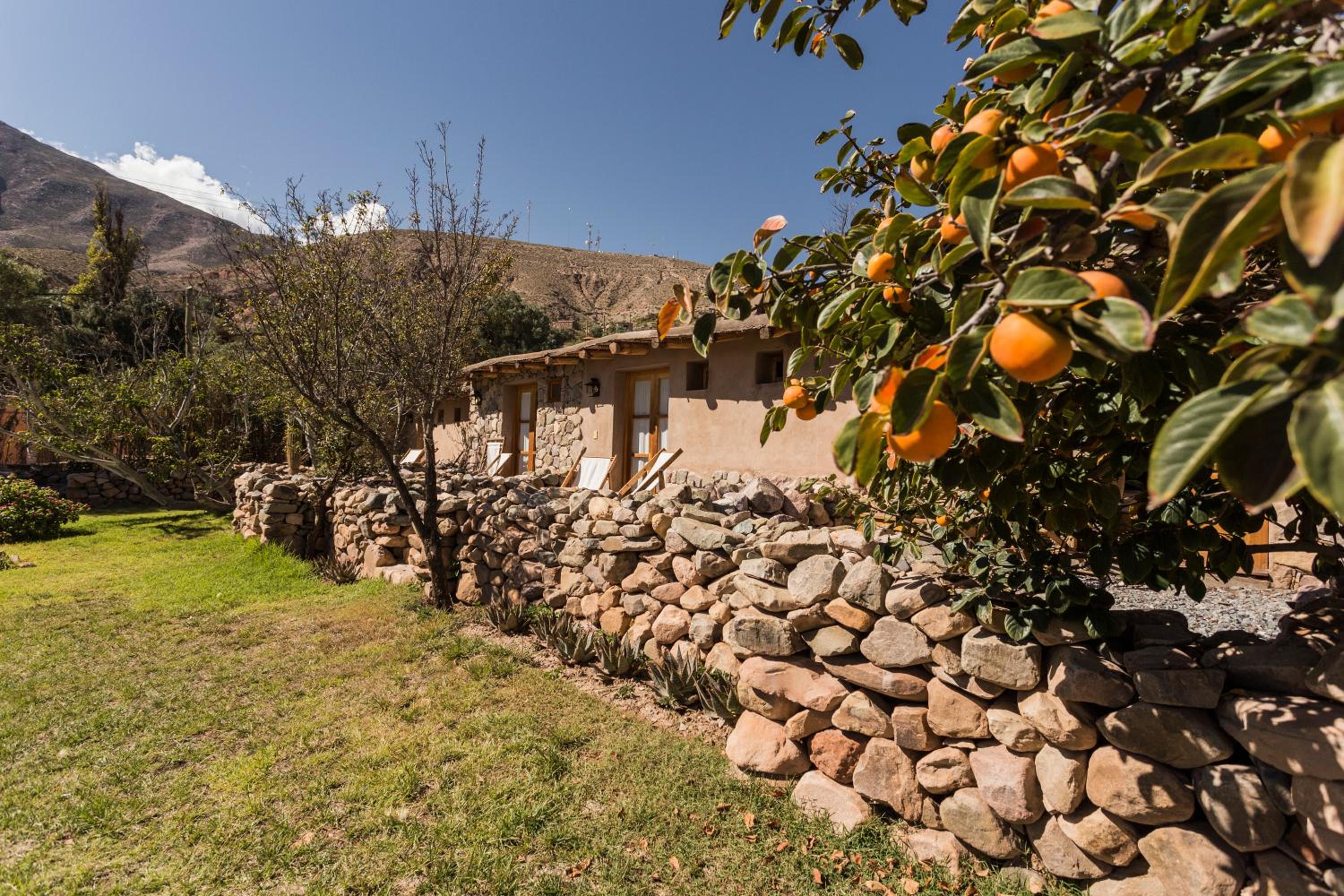 Posada de Luz