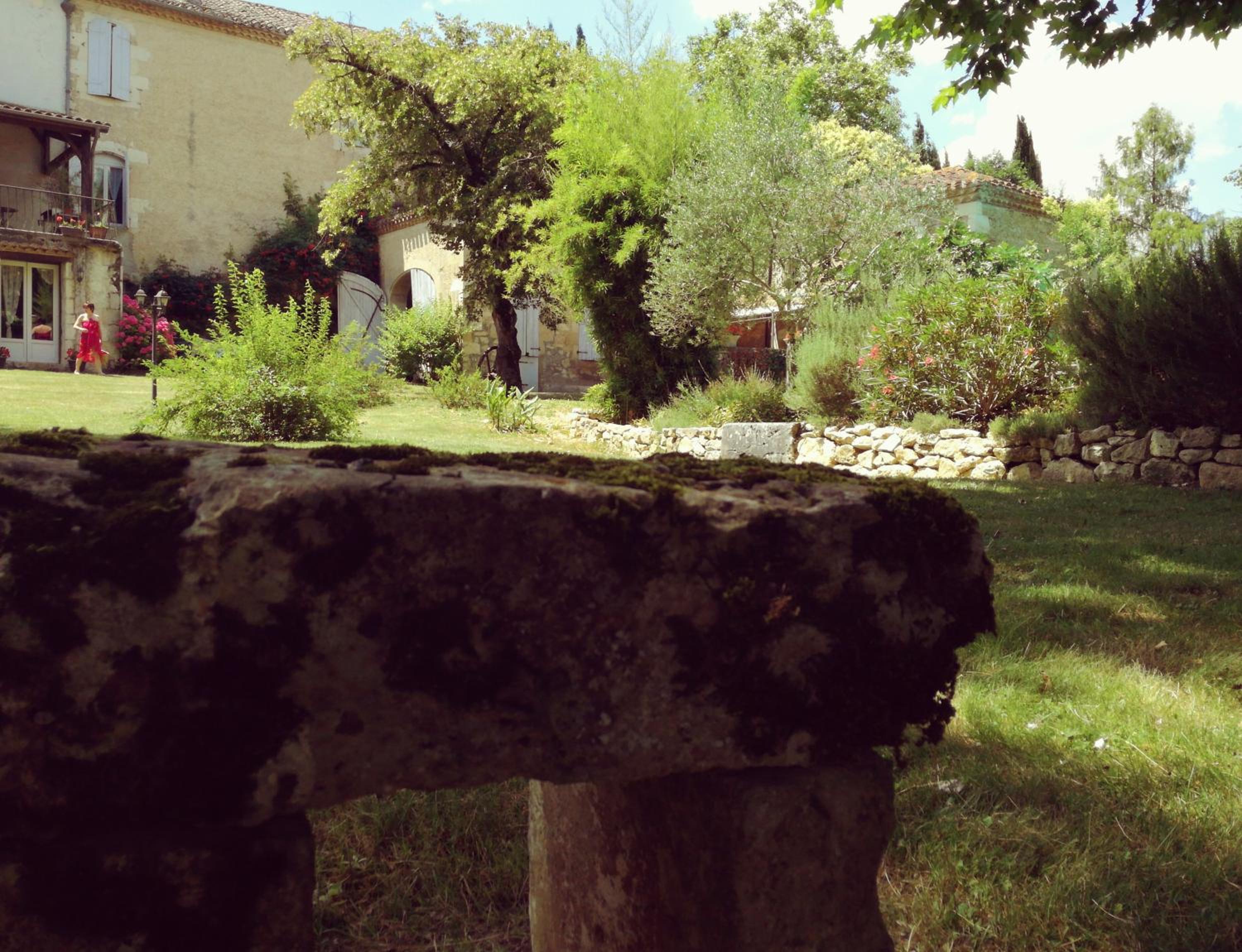 Photo 41