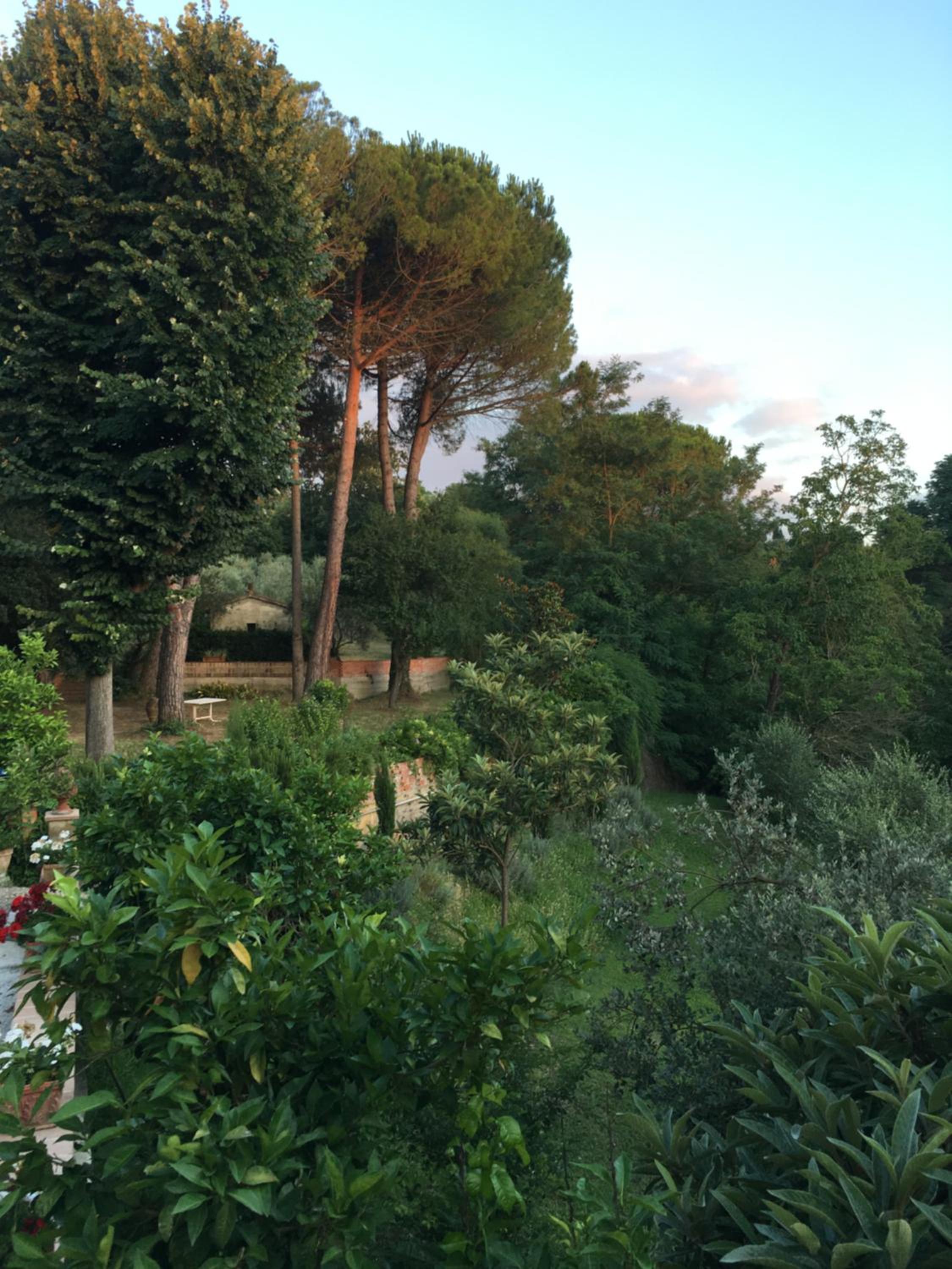 Treggiaia-poggio al paradiso view 4