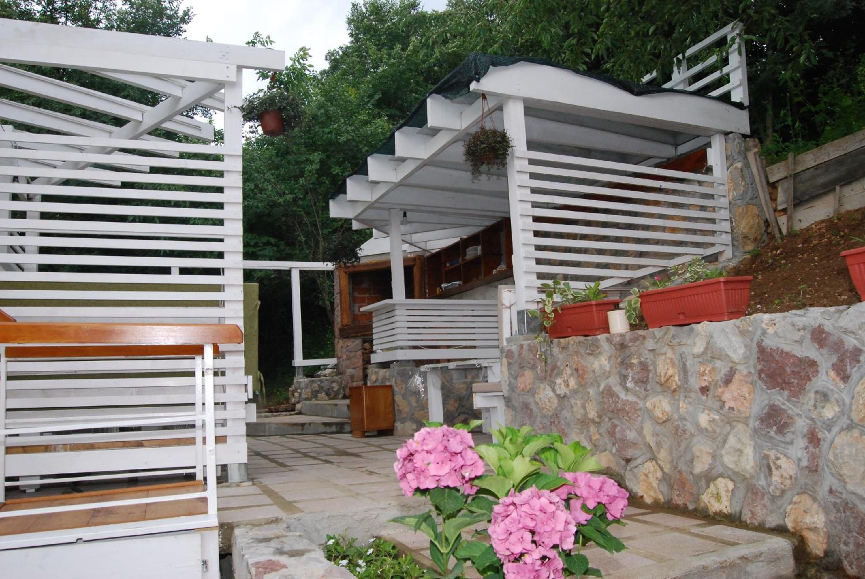 Photo 20