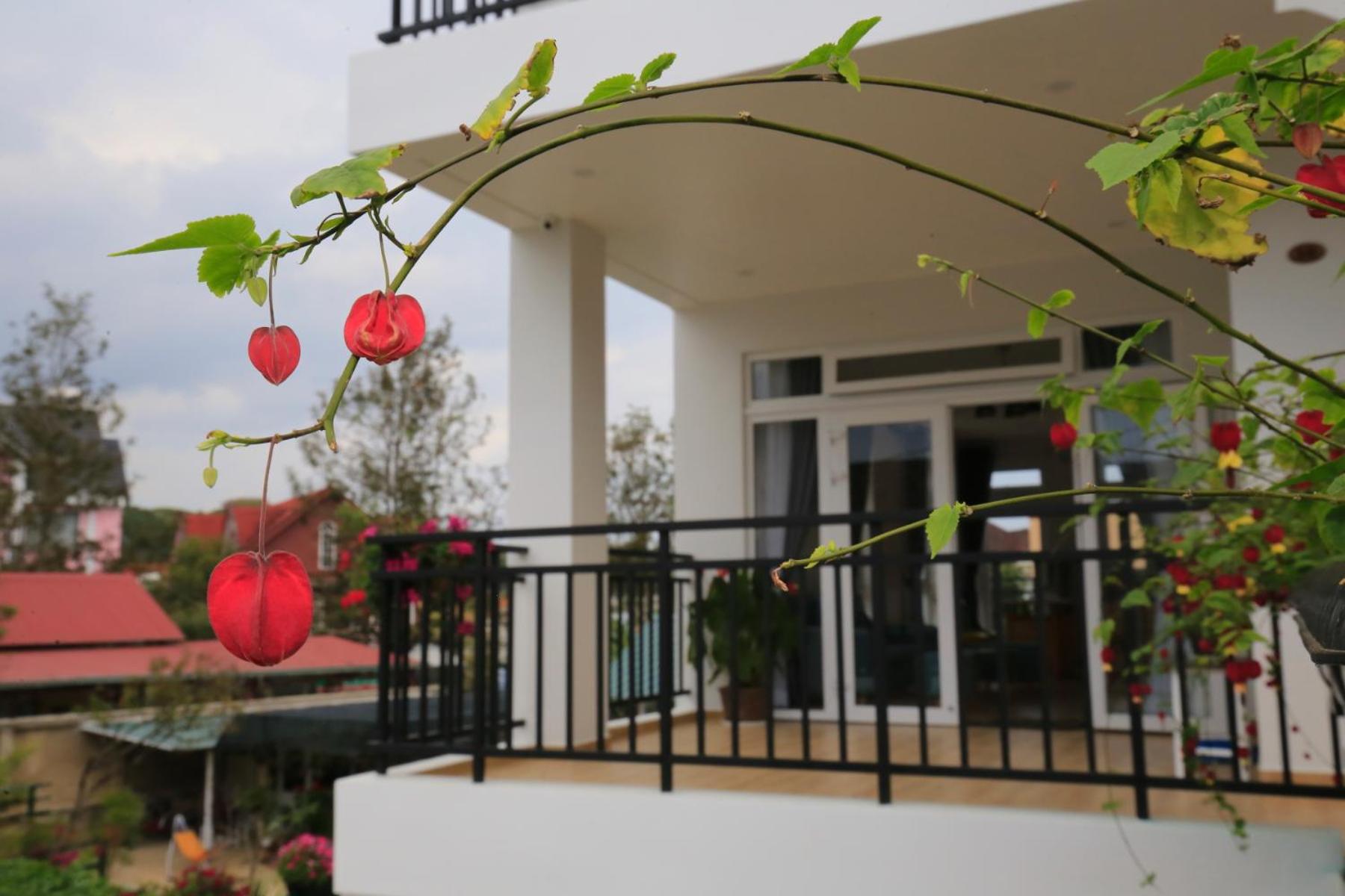 Lavini Đà Lạt House and Apartment view 5