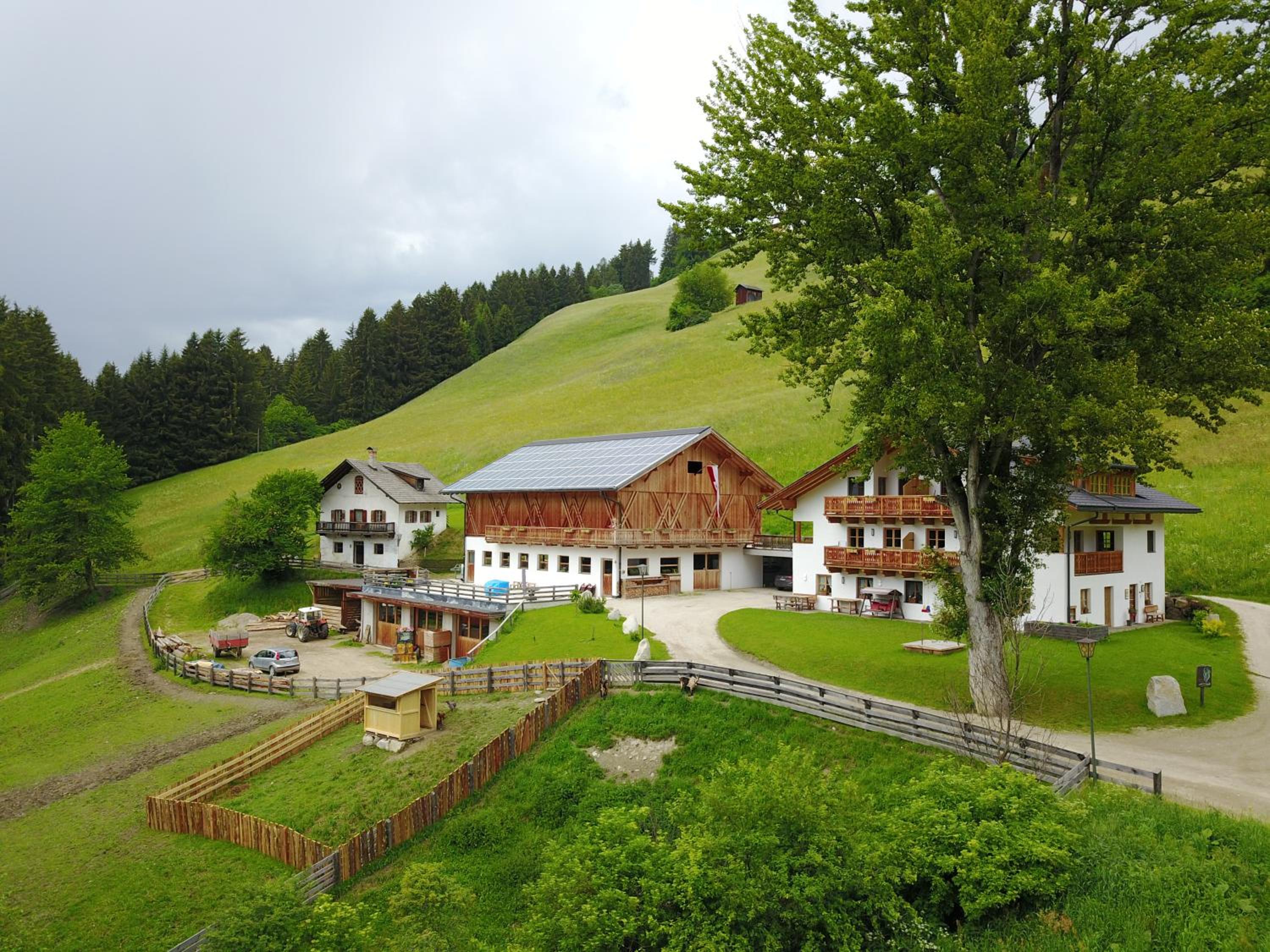 Haubenthal view 2