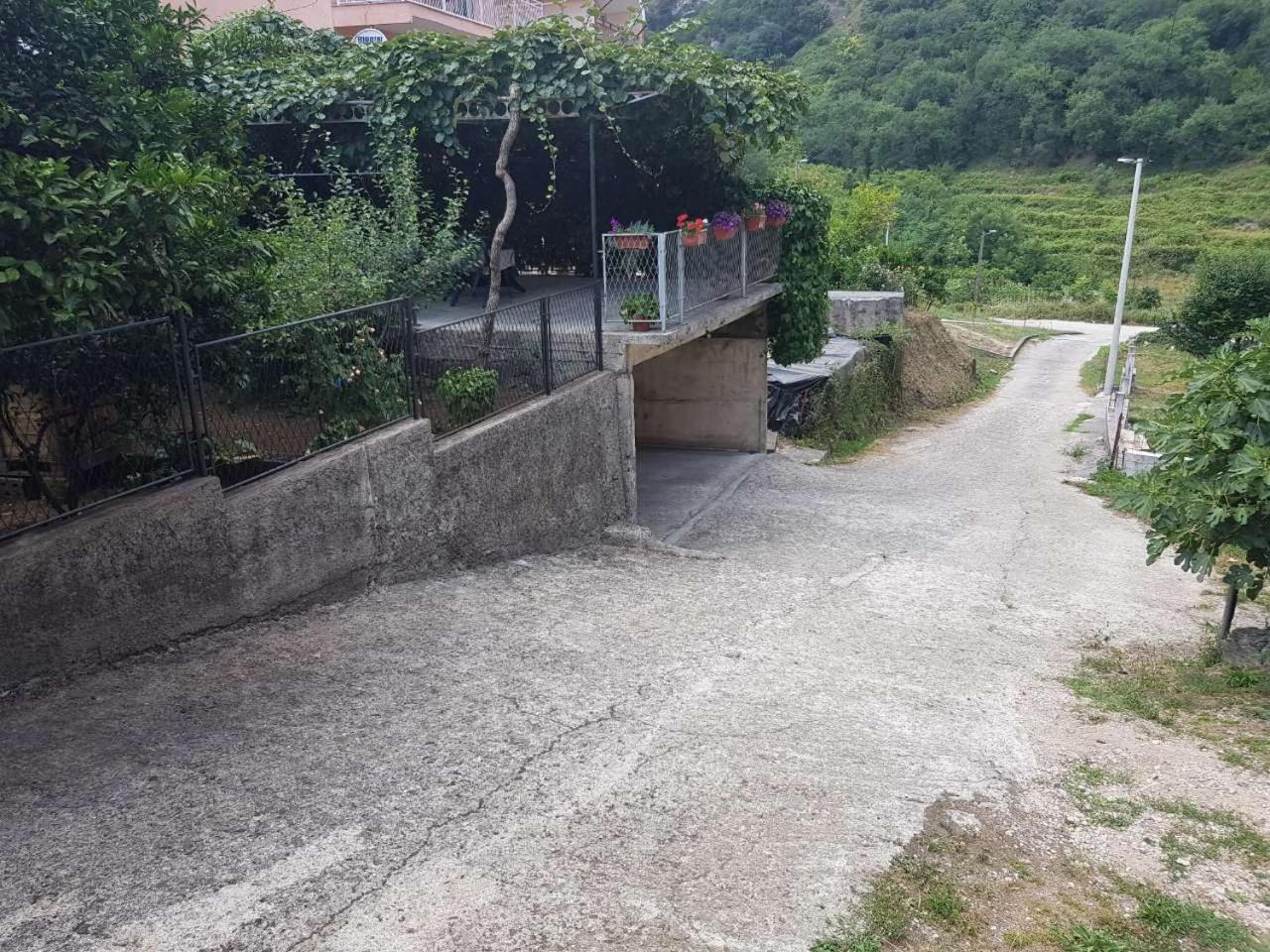 Apartments Suzana