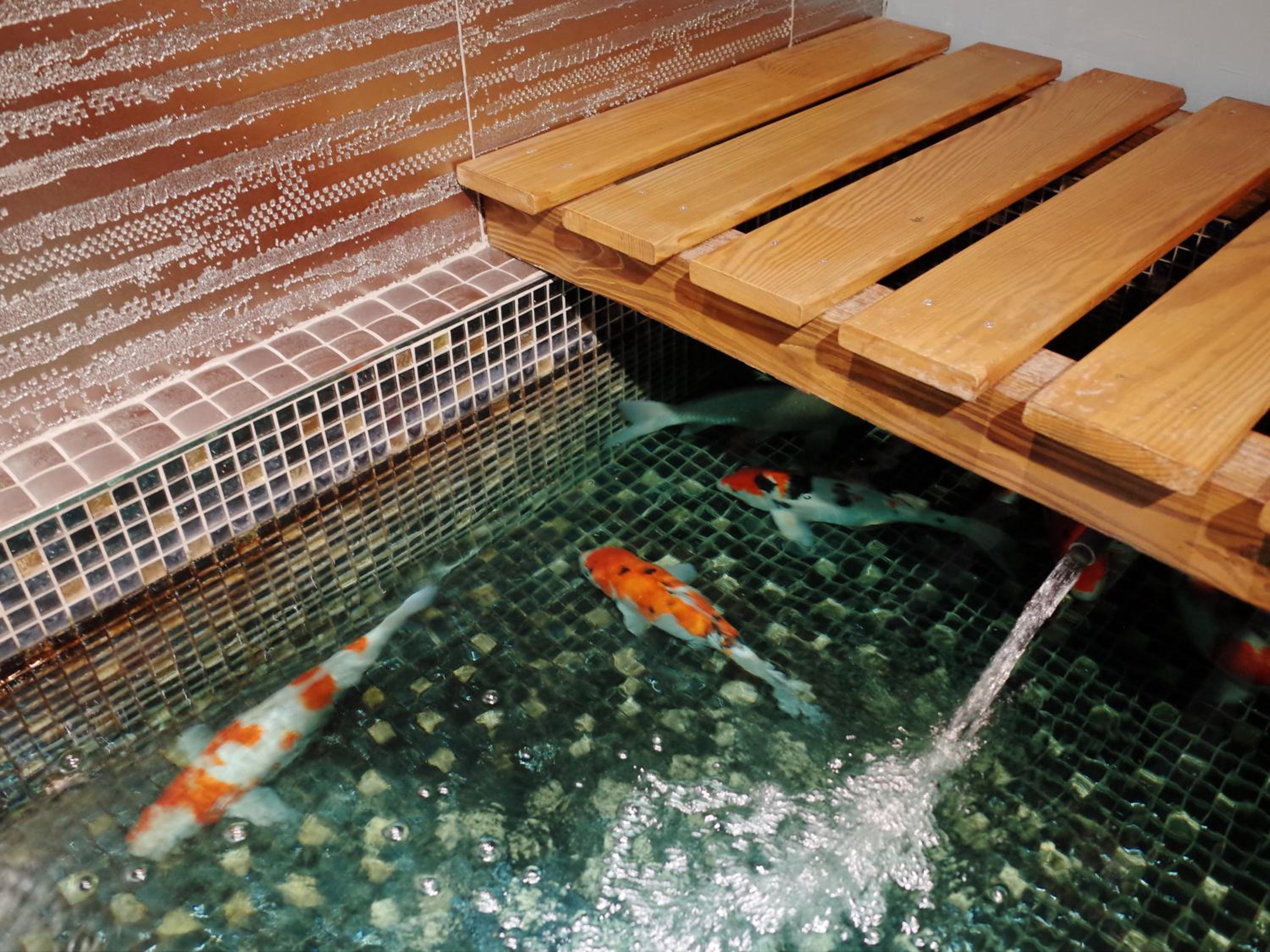 旅悅 國際青年旅館 DreamWell Hostel